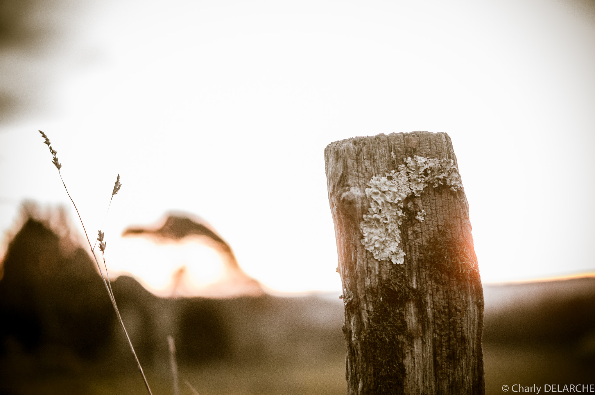 Sony SLT-A55 (SLT-A55V) + Sony DT 35mm F1.8 SAM sample photo. Post during sunrise photography