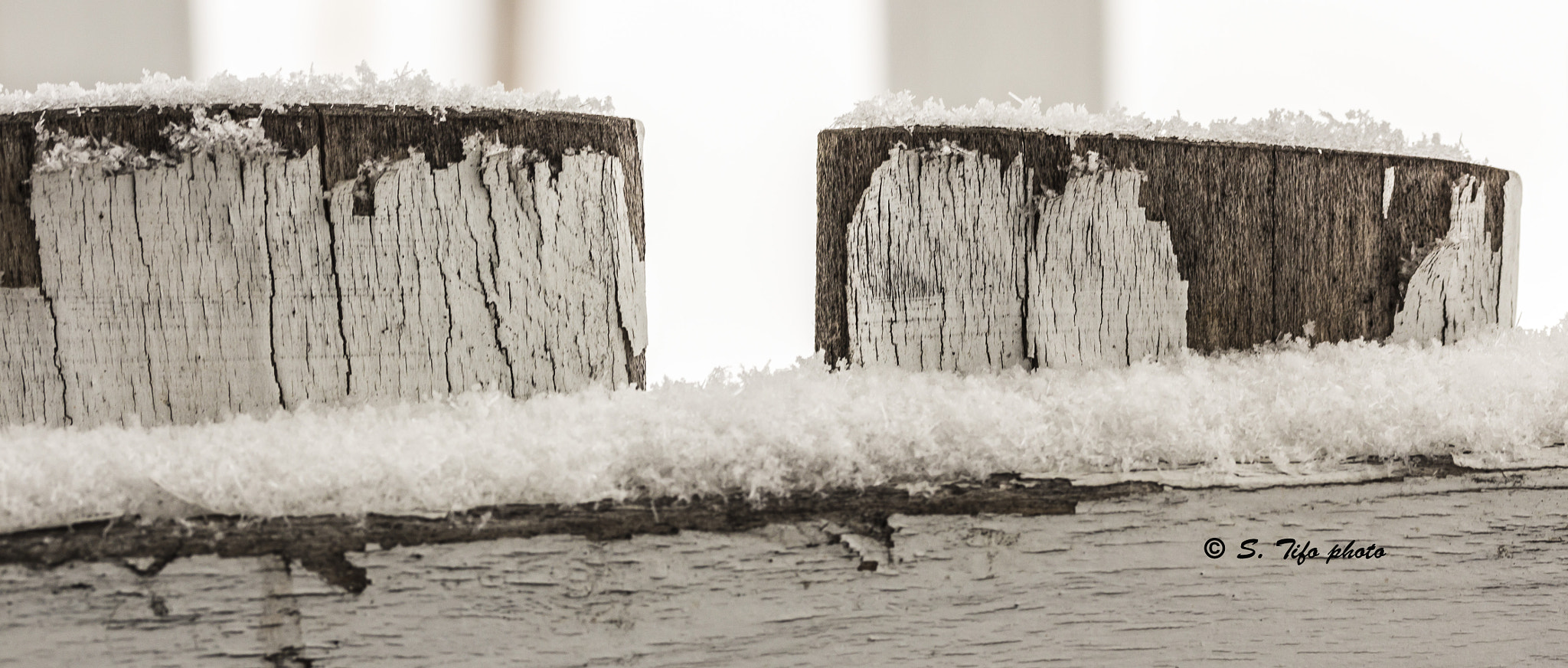Canon EF-S 60mm F2.8 Macro USM sample photo. L'hiver est arrivé.. 2 .... photography