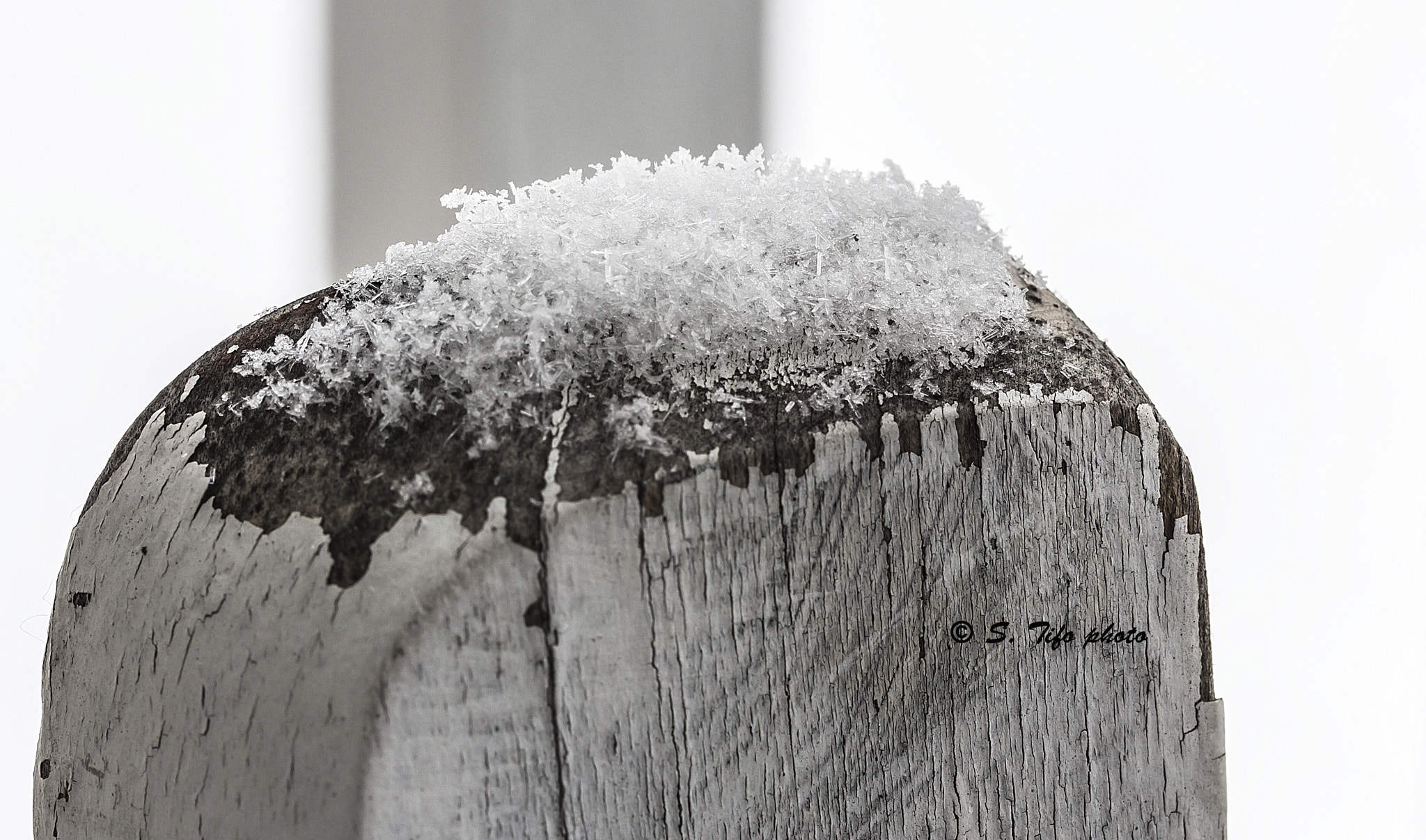 Canon EF-S 60mm F2.8 Macro USM sample photo. L'hiver est arrivé ... 3 ... photography