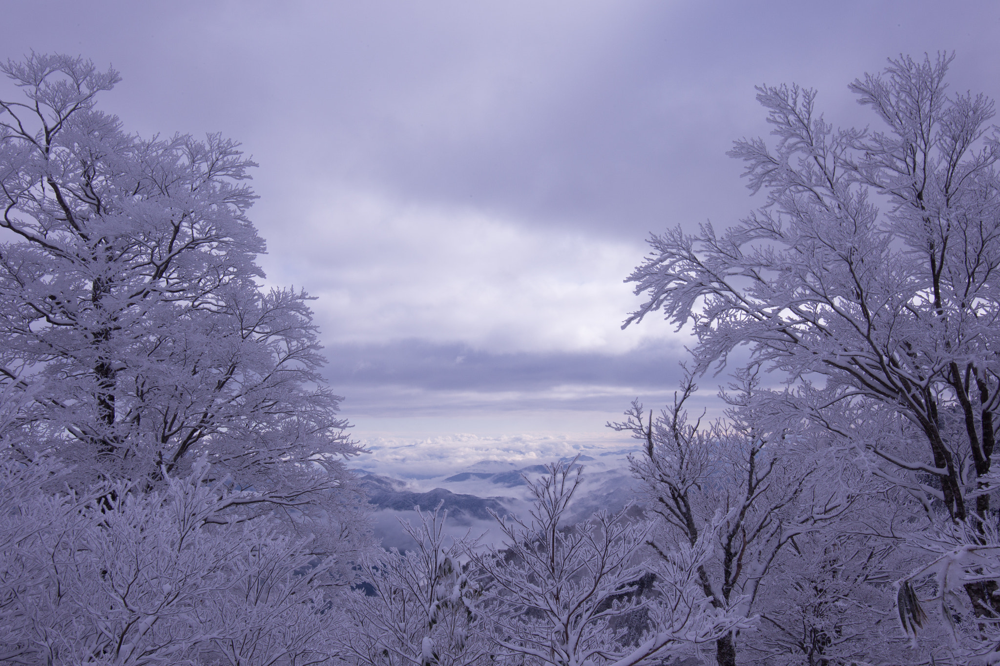Canon EF-S 17-85mm F4-5.6 IS USM sample photo. 20151228 photography