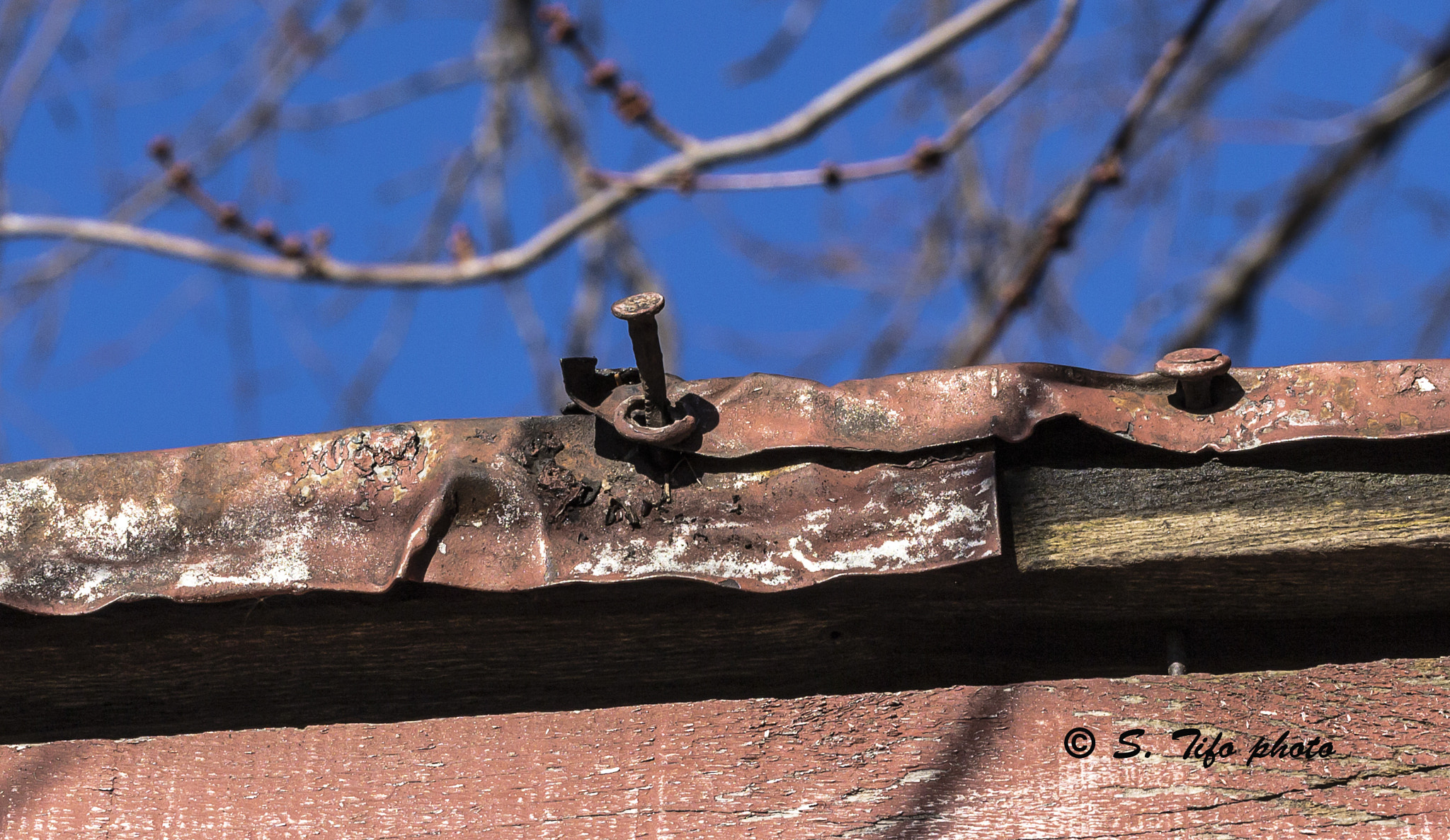 Canon EF-S 60mm F2.8 Macro USM sample photo. On the edge ..... photography