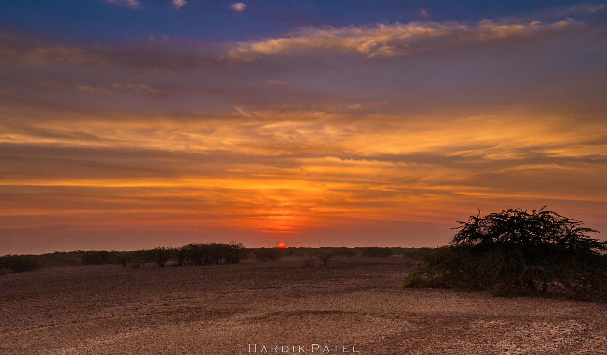 Nikon D4S + Sigma 50mm F1.4 DG HSM Art sample photo. The sunset.. photography