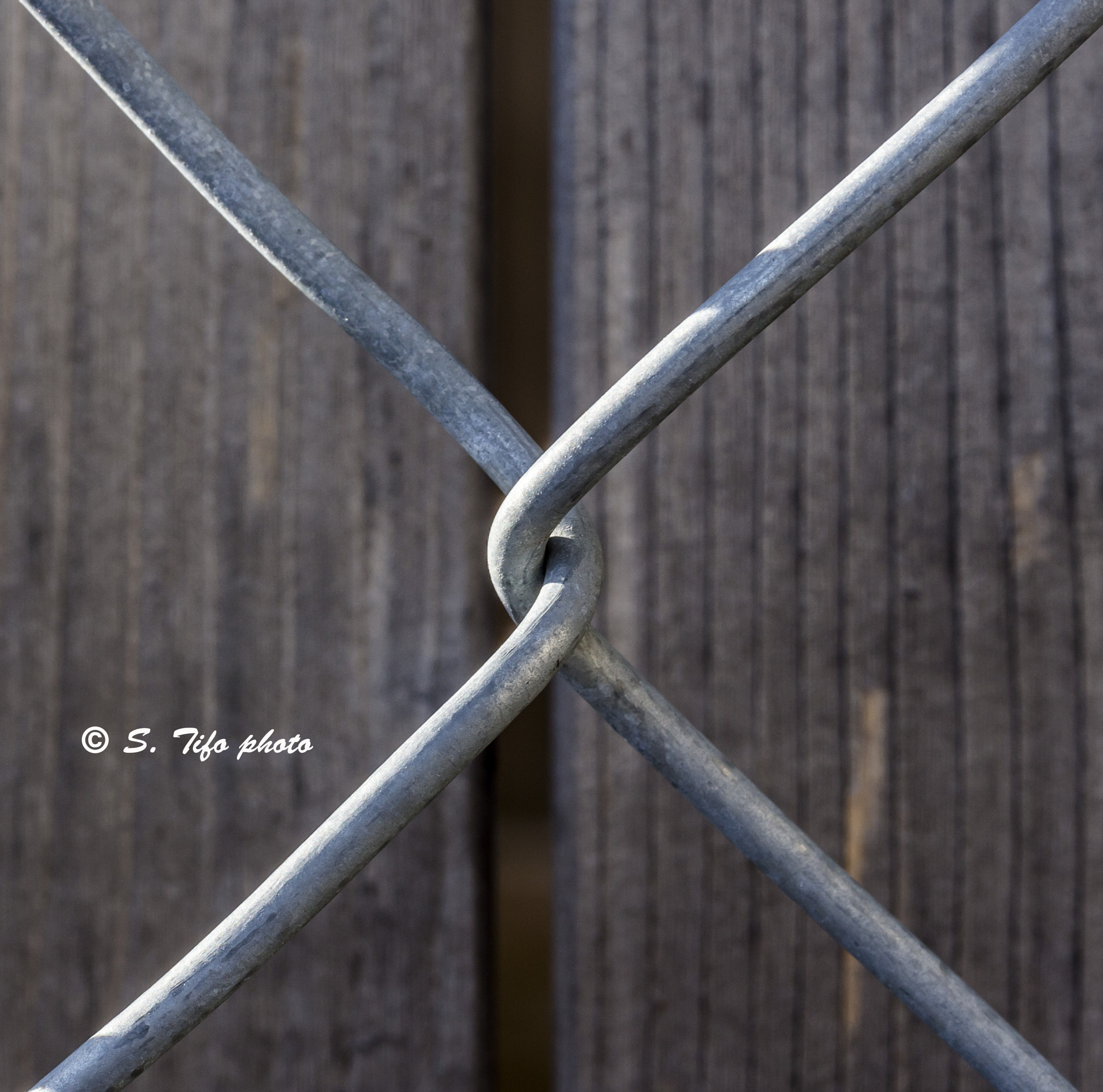 Canon EF-S 60mm F2.8 Macro USM sample photo. Symmetry ... photography