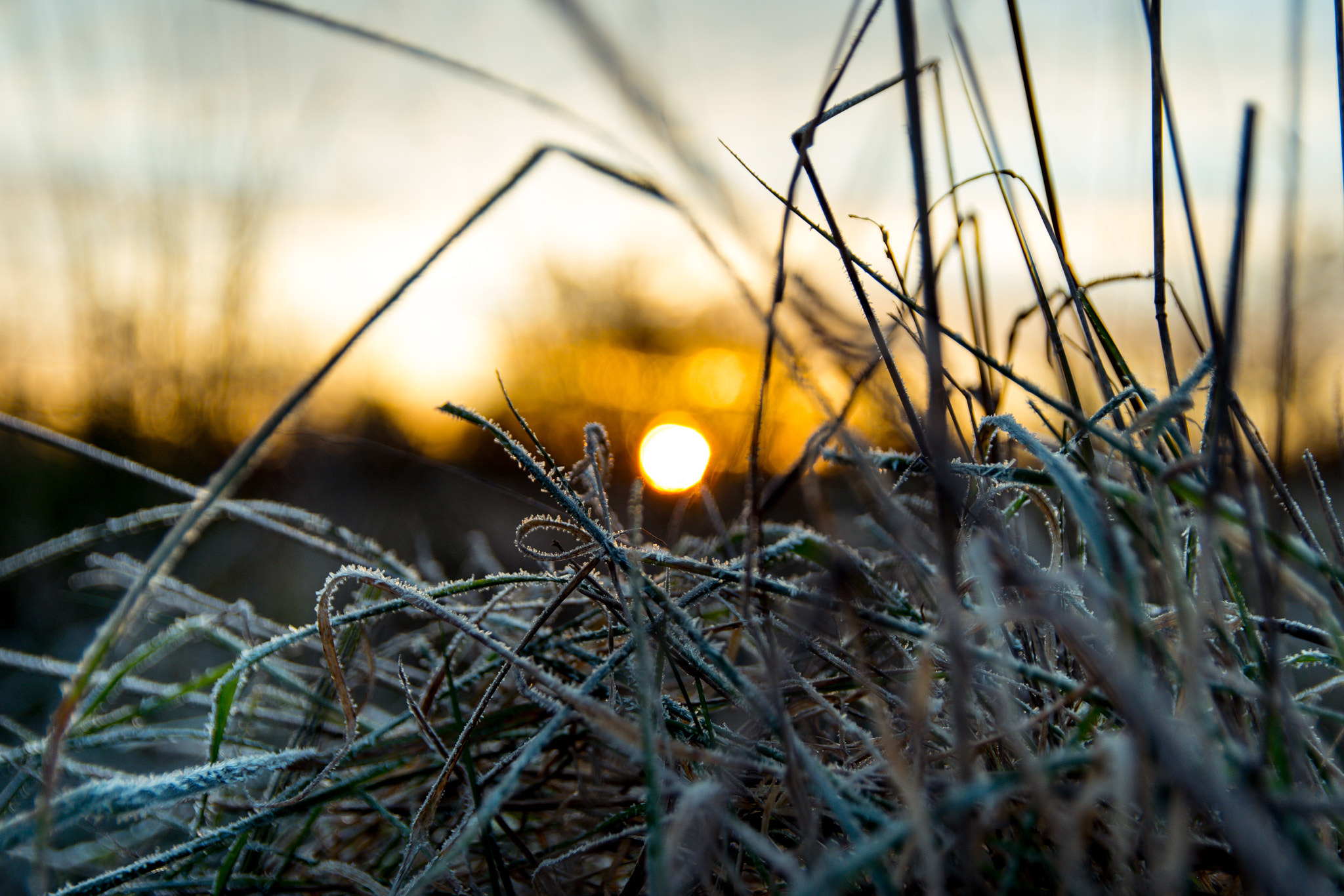 Sigma 17-50mm F2.8 EX DC OS HSM sample photo. Winter sunrise photography
