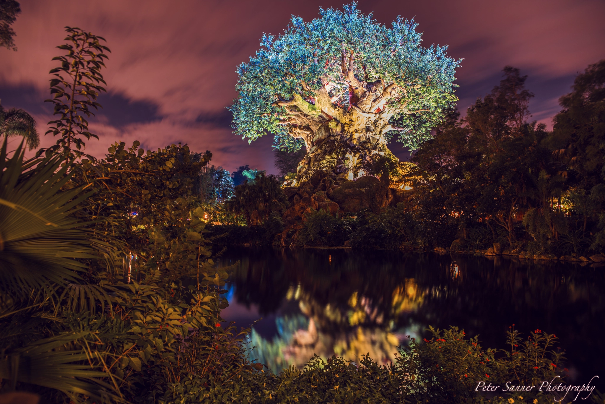 v2?sig=f5e7d2c2d51faf7332a46b8c37f0dfa4fcdca7281a32f49bc17dde5a6d5f5a3c