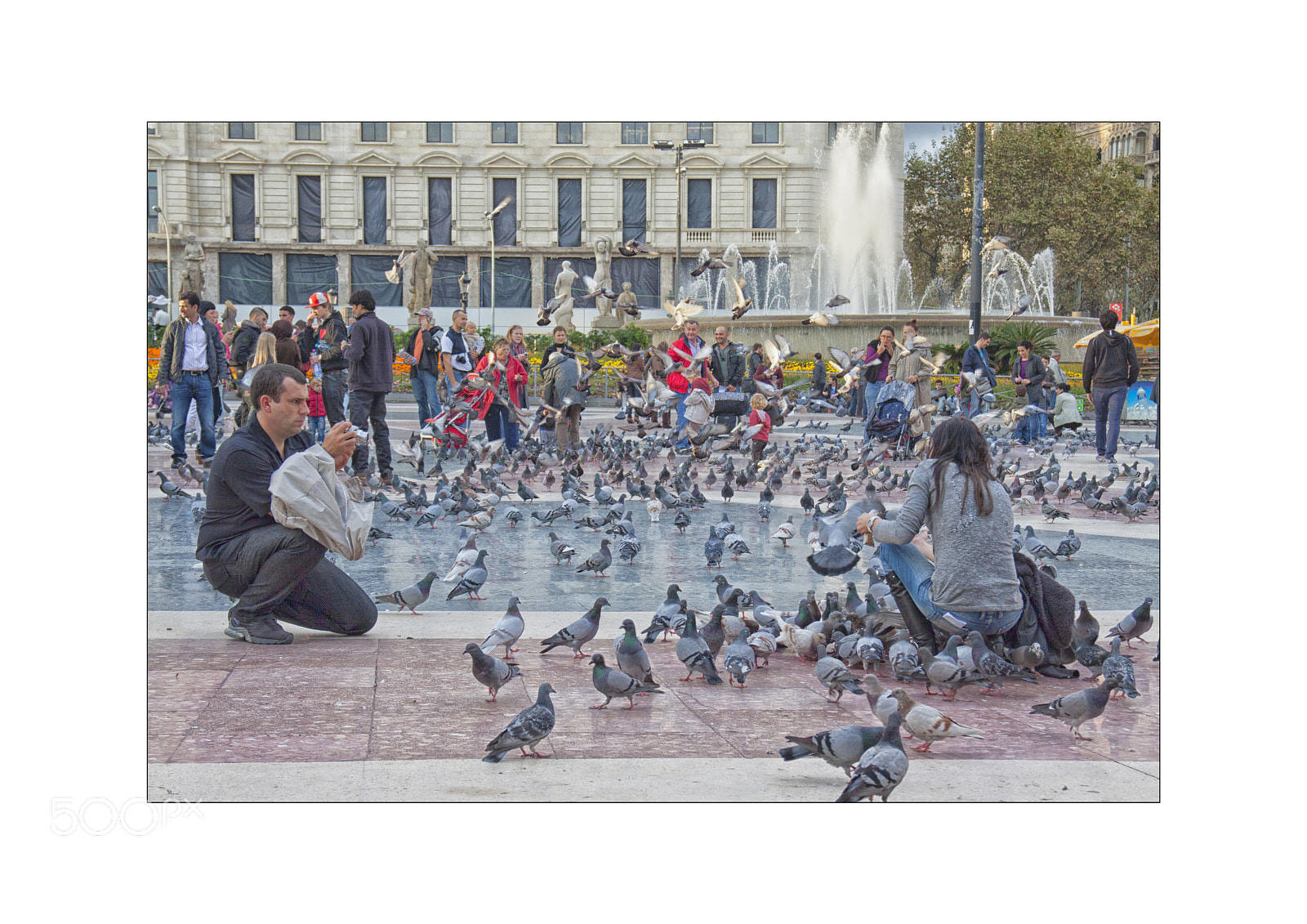 Canon EOS 50D + Sigma 18-125mm F3.8-5.6 DC OS HSM sample photo. Watch the birdie/count the pigeons photography