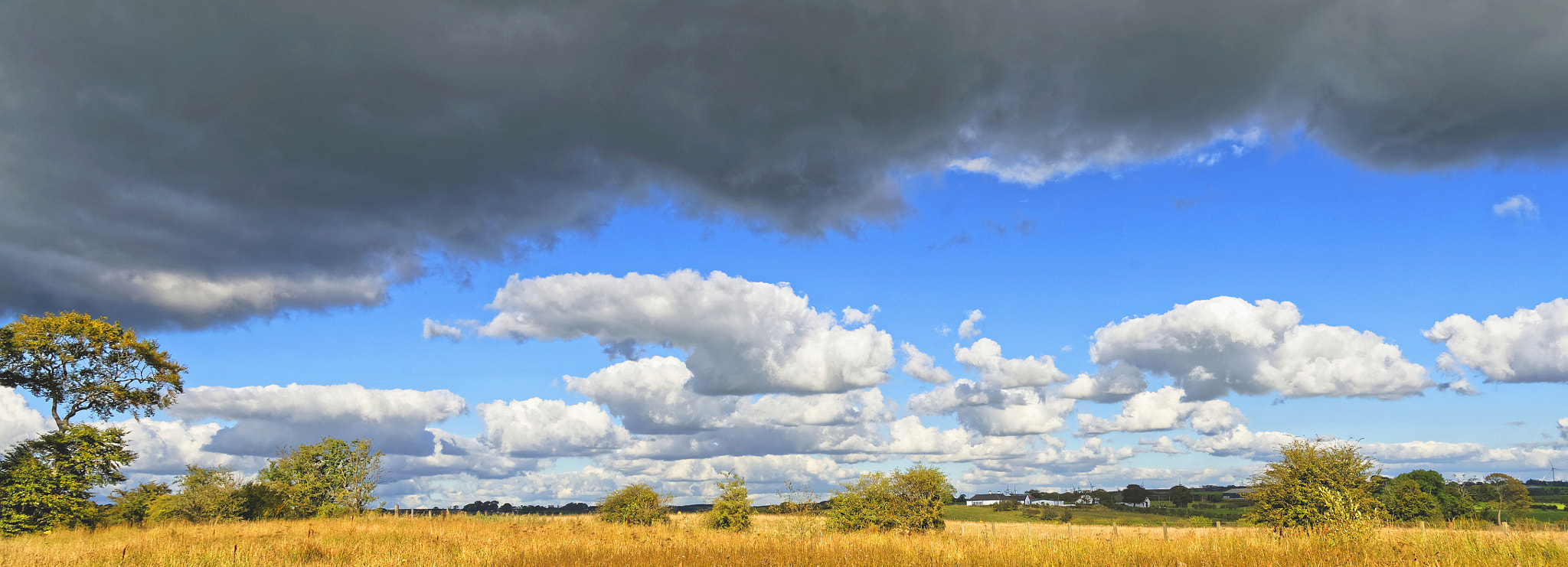 Nikon D4S sample photo. Rain is coming photography