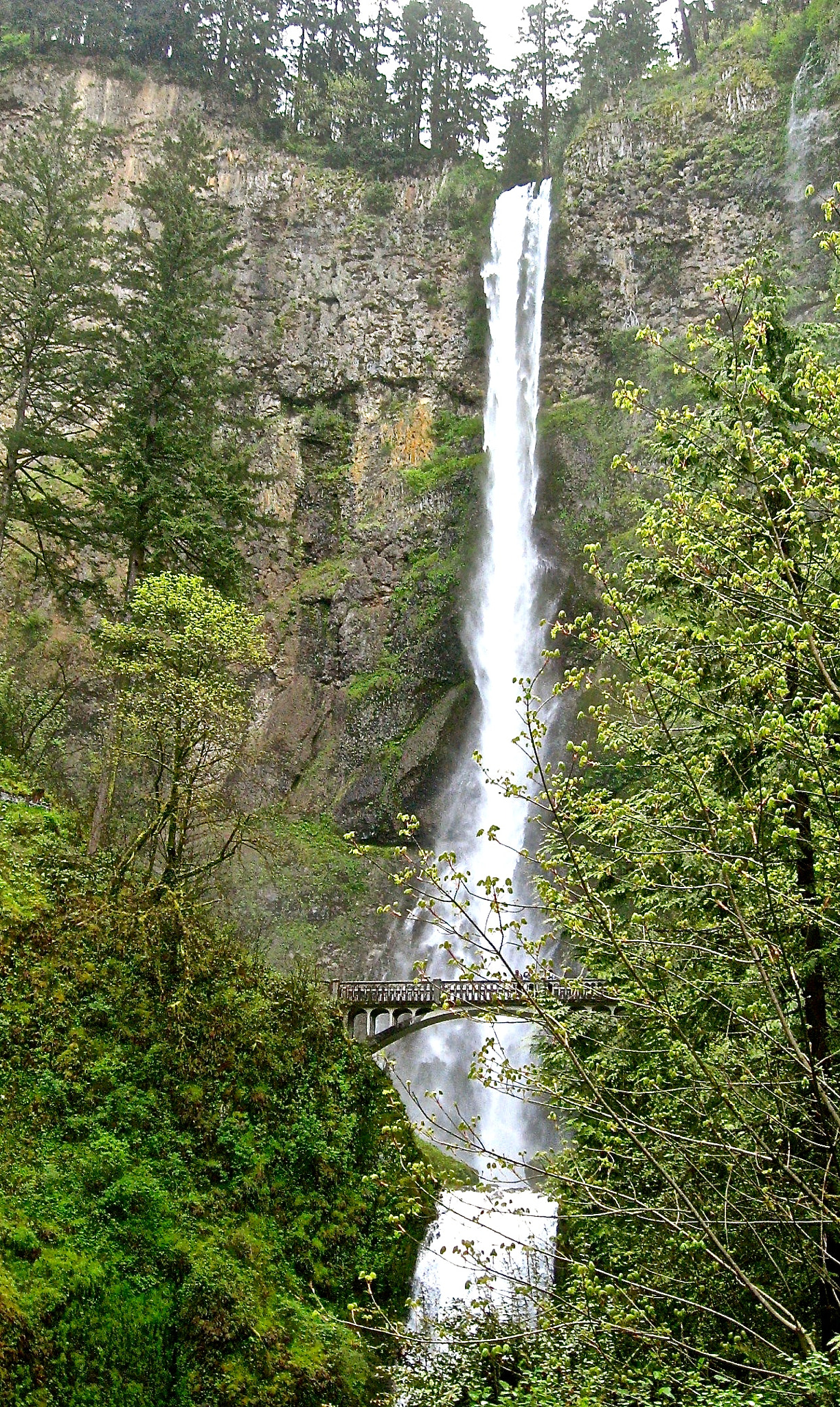 Canon POWERSHOT SD700 IS sample photo. Multnomah magic and mist photography