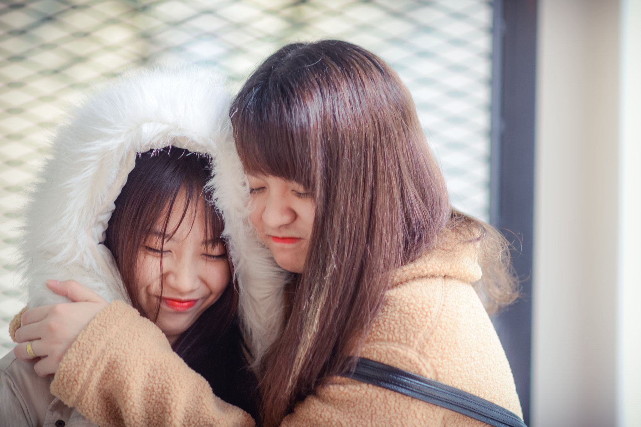 AF DC-Nikkor 135mm f/2D sample photo. A little love photography