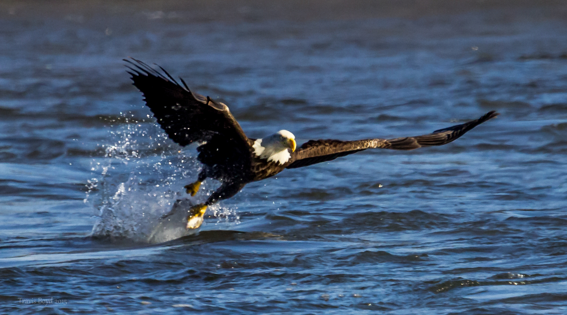 Canon EF 100-400mm F4.5-5.6L IS USM sample photo. One foot grab photography