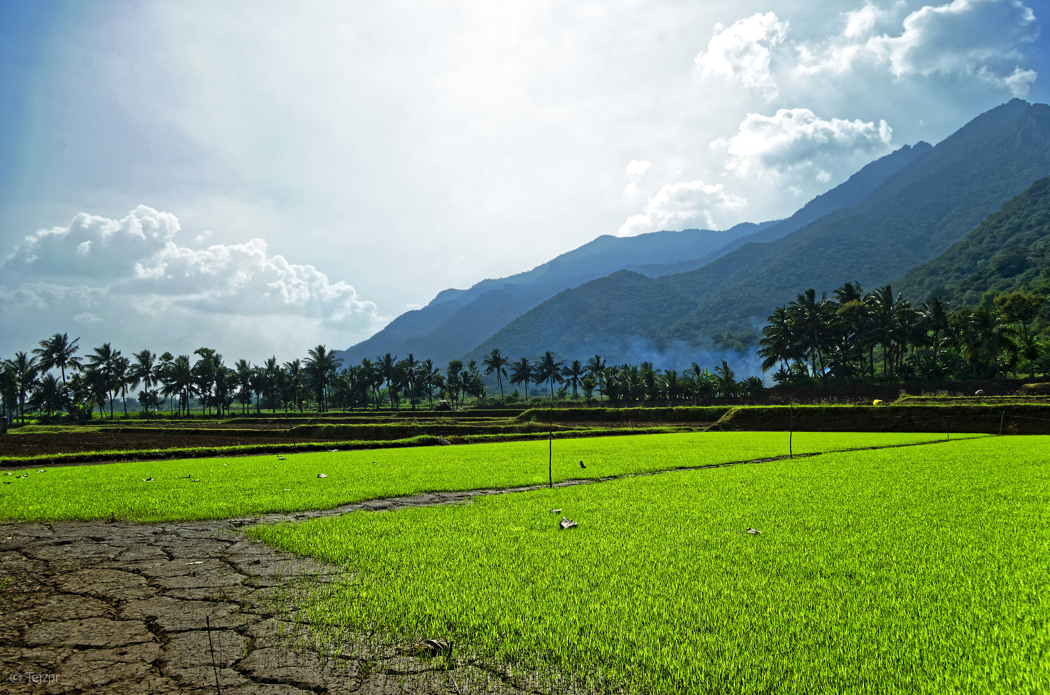 Pentax K-5 + Pentax smc DA 18-55mm F3.5-5.6 AL sample photo. Rice fields below the mountains photography