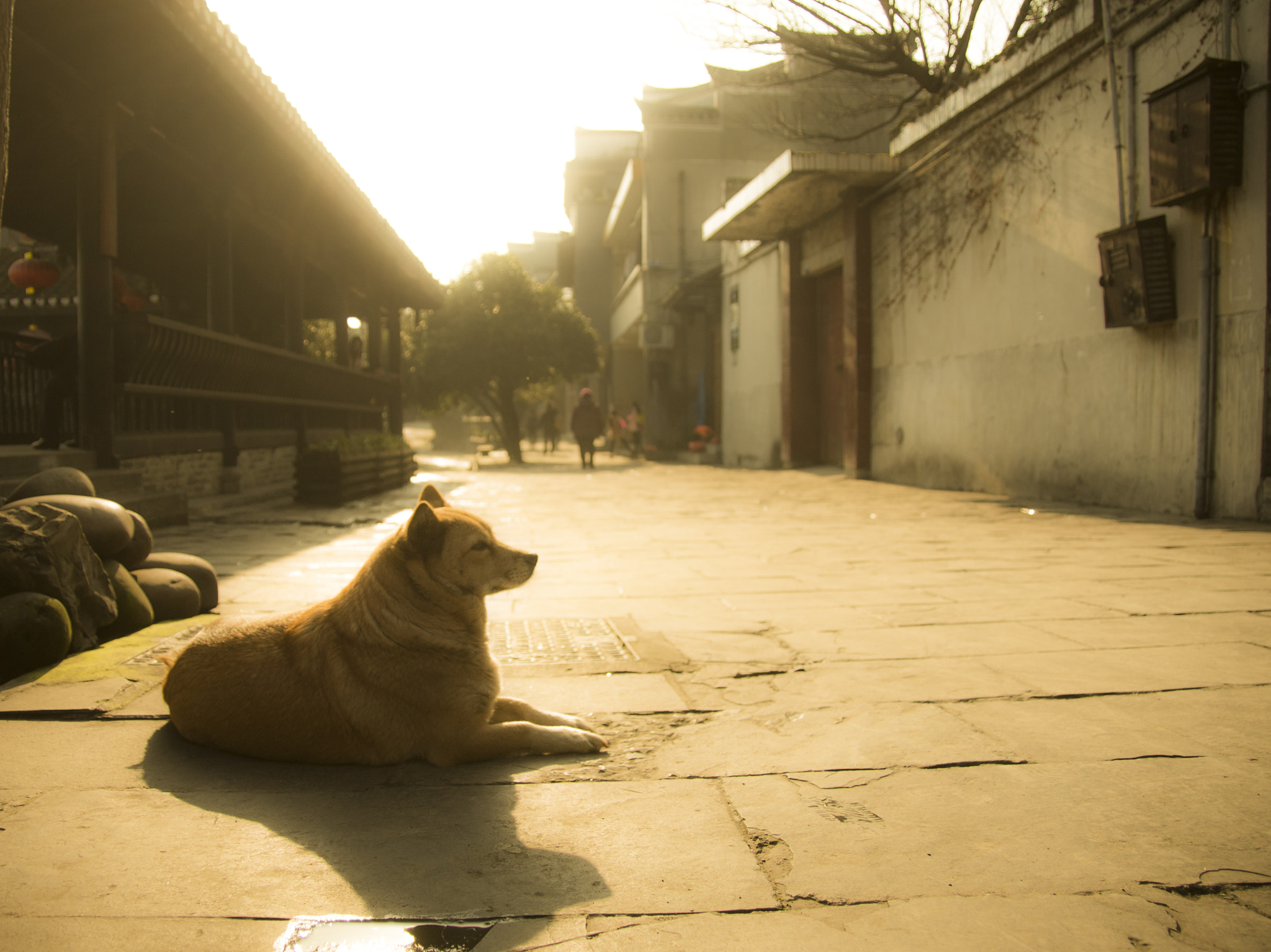 Pentax K-5 sample photo. Phonix photography