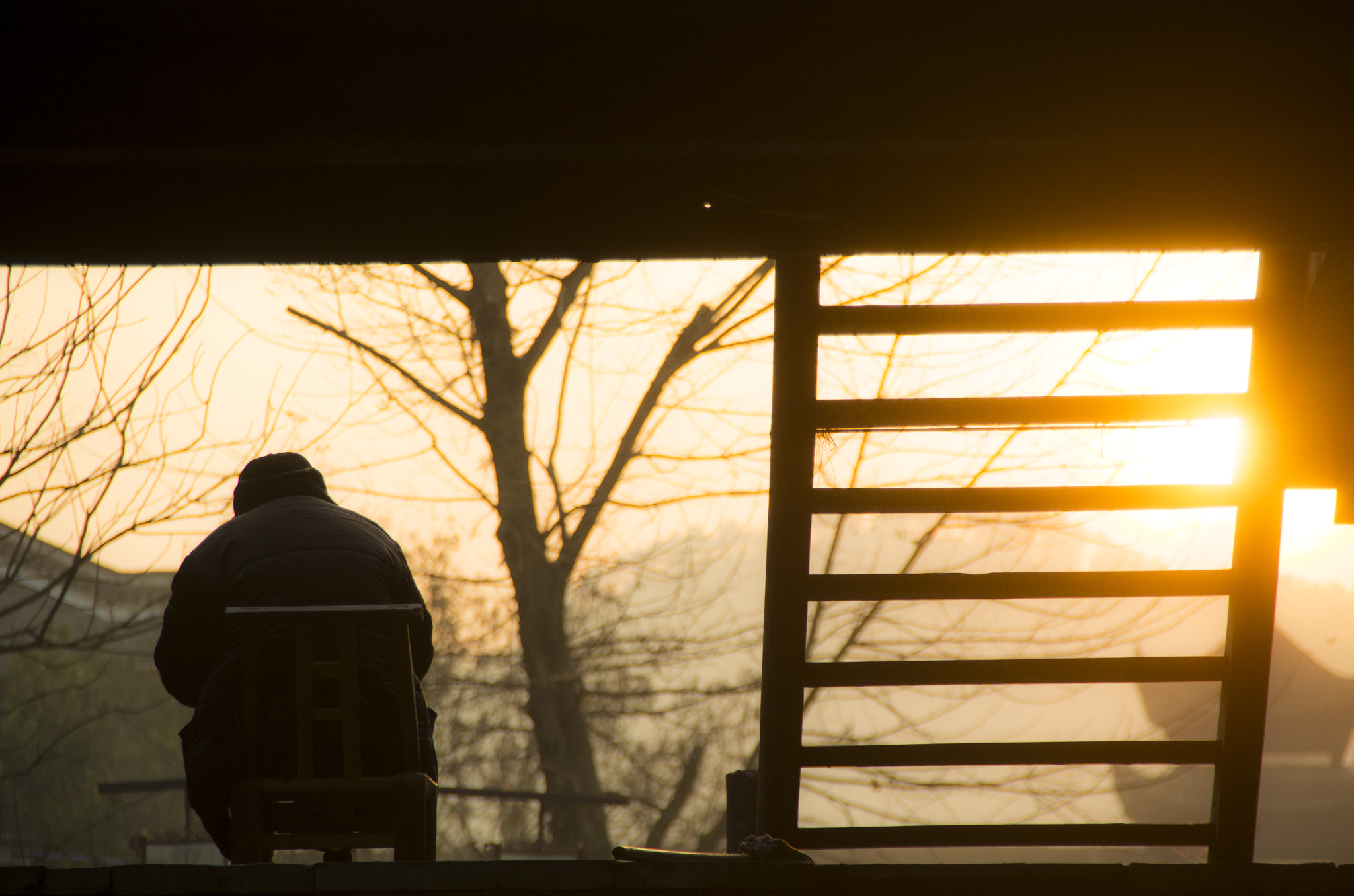 Pentax K-5 sample photo. Phonix photography