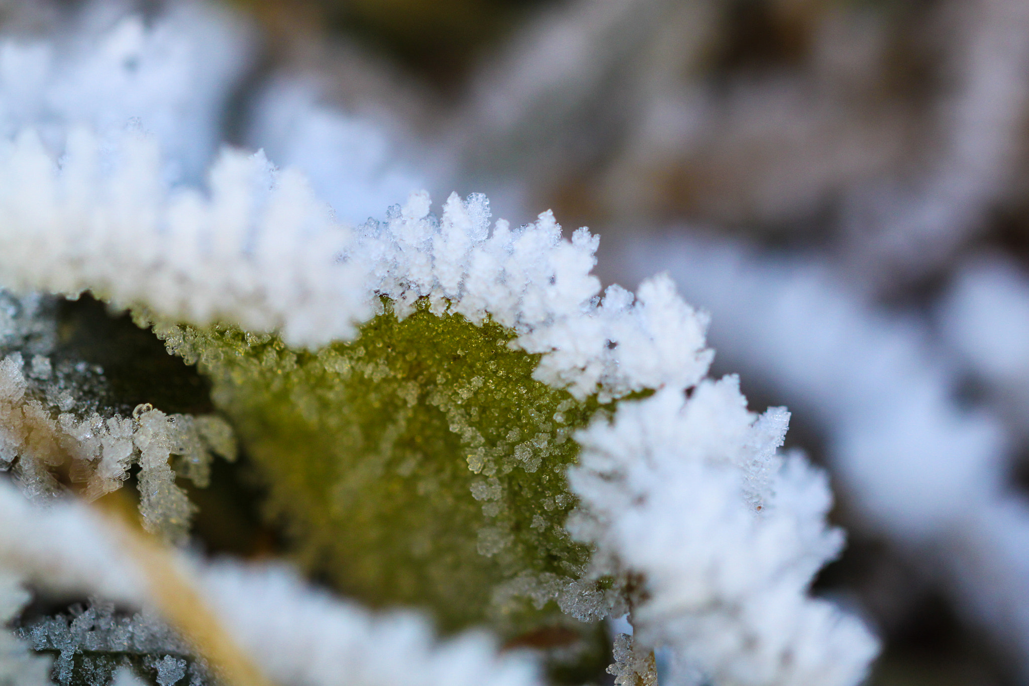 Sigma 105mm F2.8 EX DG OS HSM sample photo. Frozen ridge photography