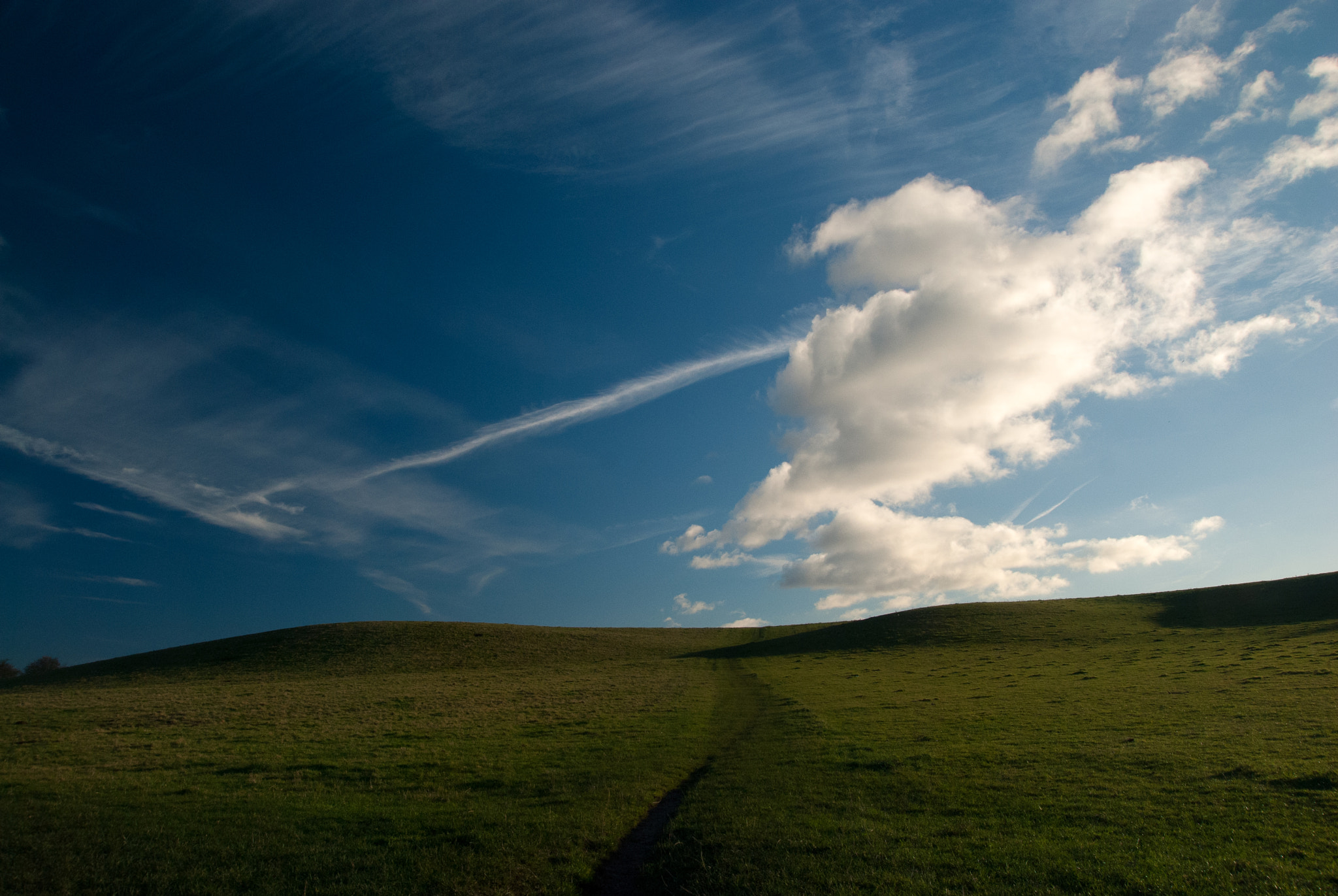 Nikon D60 sample photo. Misk hills photography