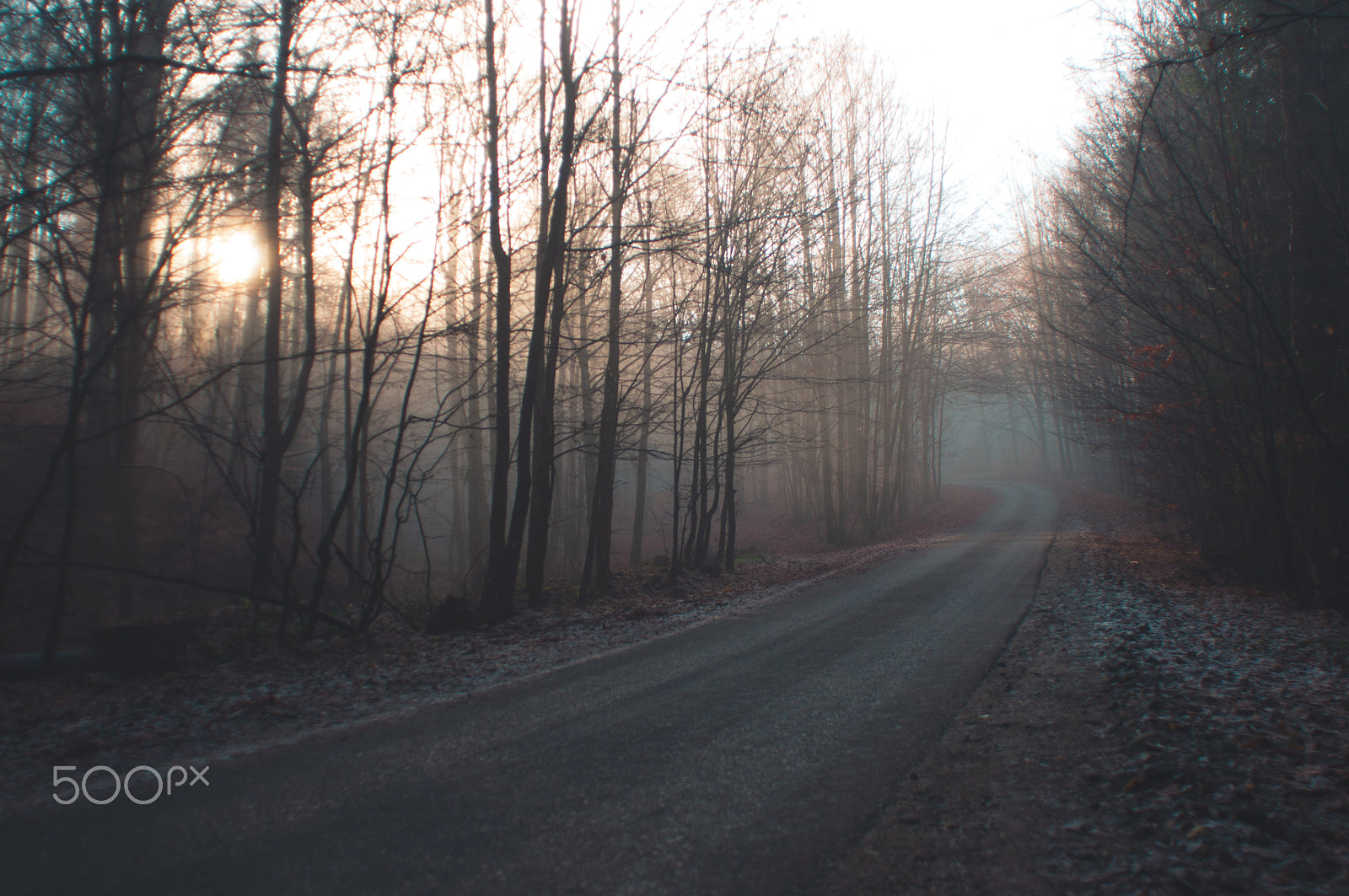 Nikon D90 + Nikon AF Nikkor 20mm F2.8D sample photo. Morning fog photography