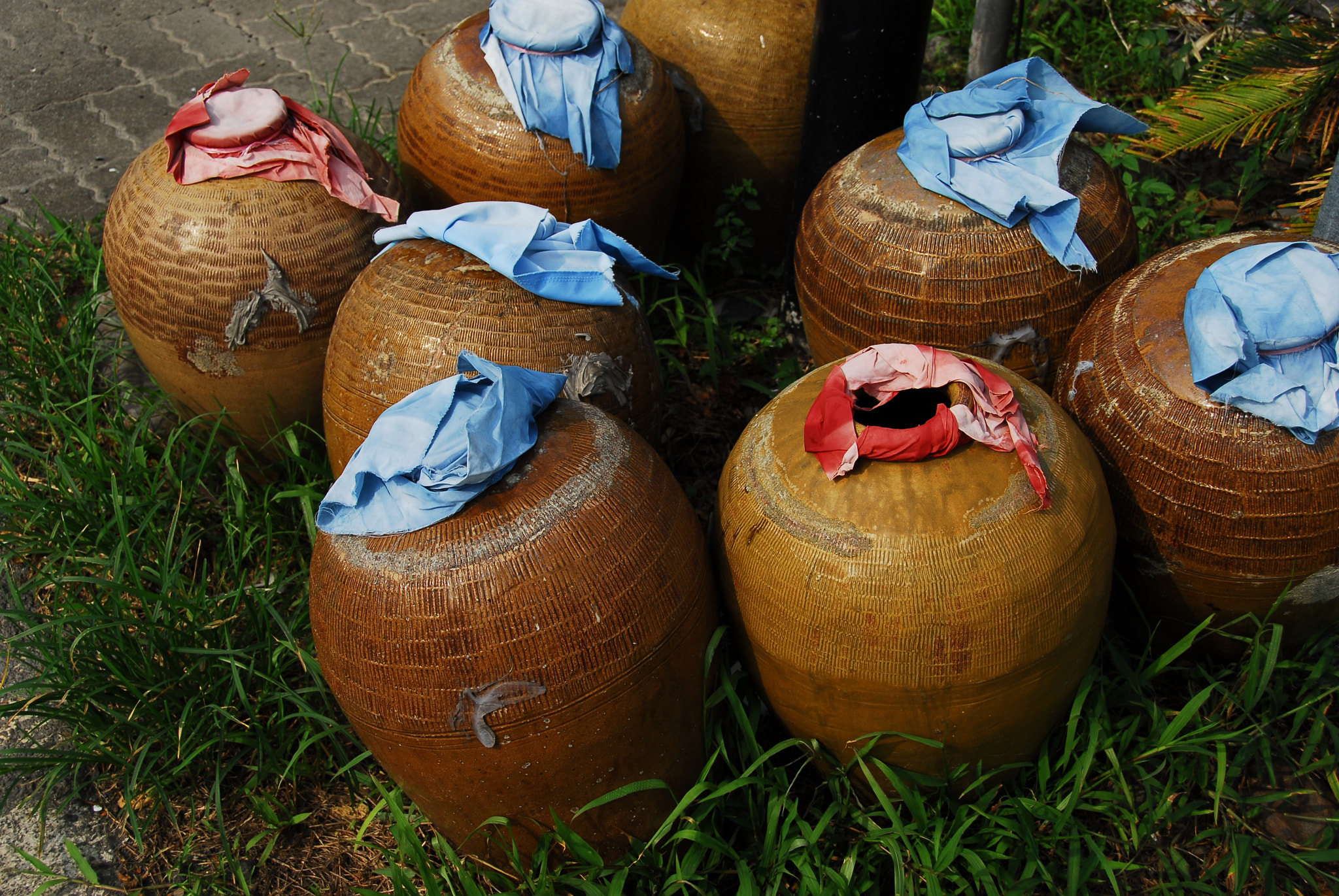 Nikon D200 sample photo. Photo photography