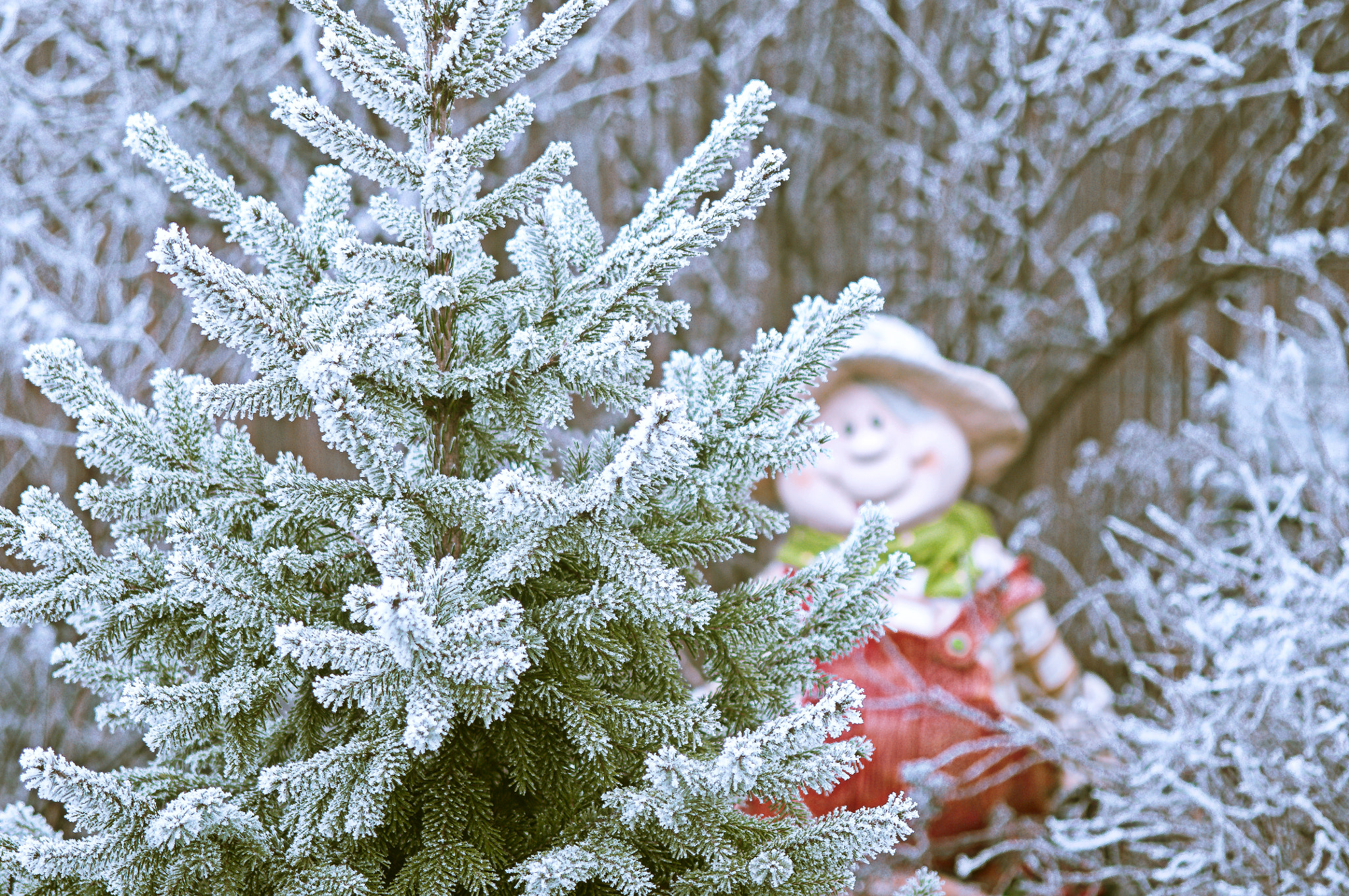 Nikon D300 + AF Micro-Nikkor 105mm f/2.8 sample photo. Первый снег photography
