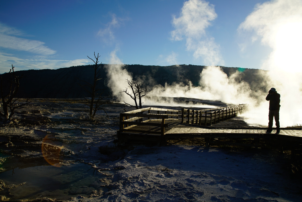 24-105mm F4 OSS sample photo. Yellowstone photography