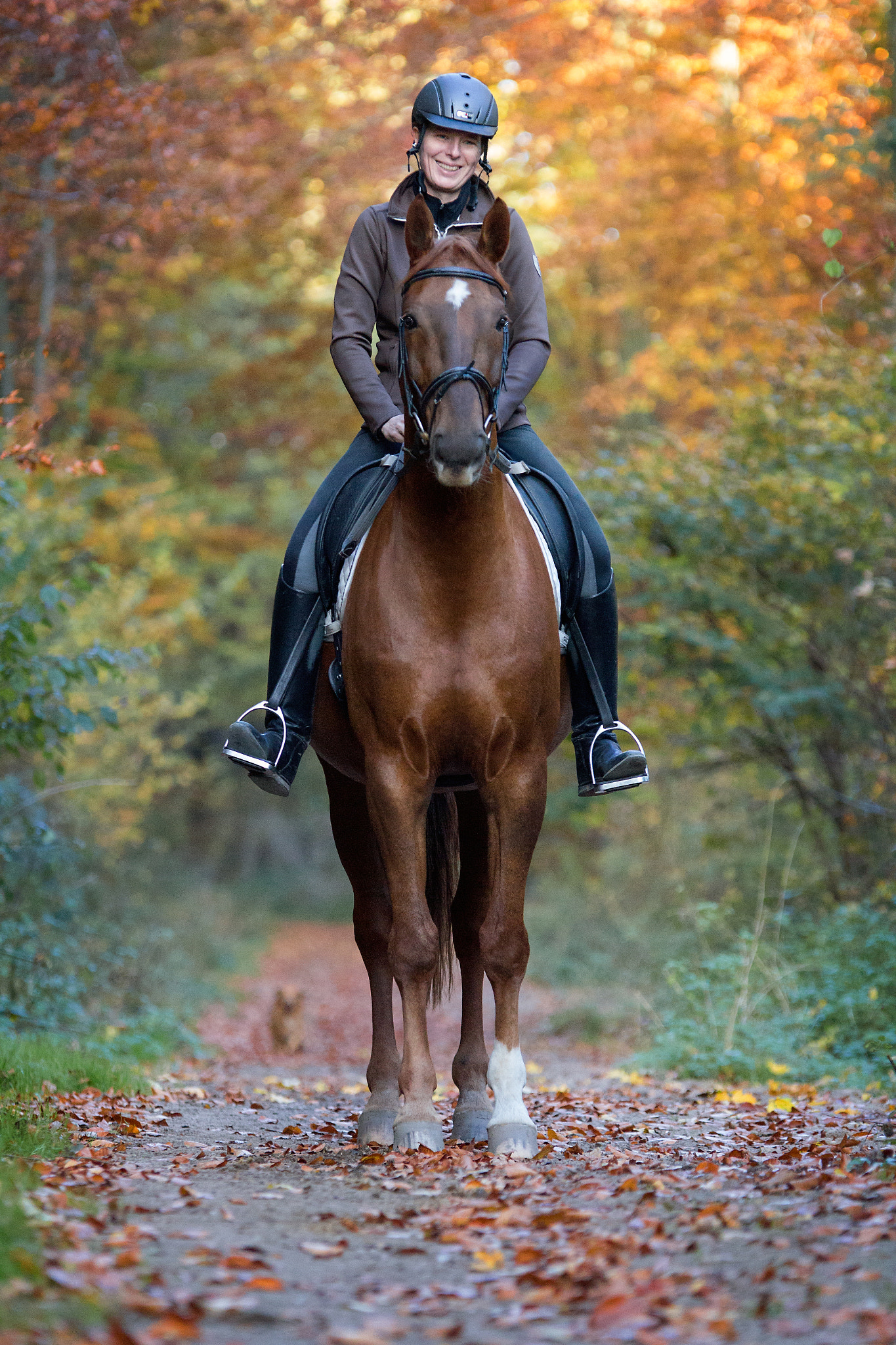 Sigma 70-200mm F2.8 EX DG OS HSM sample photo. Beautiful autumn photography