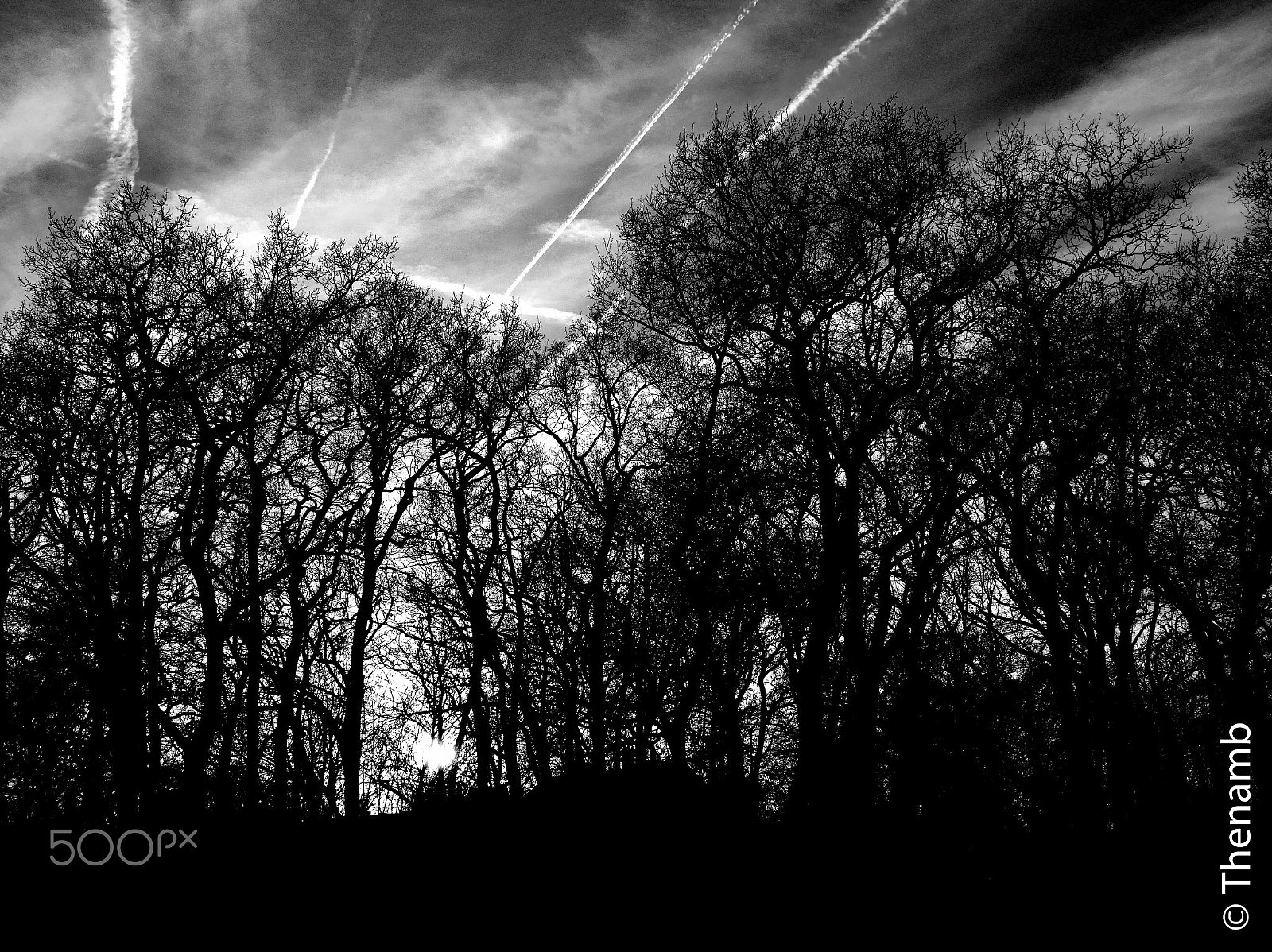Panasonic Lumix DMC-GX8 + LUMIX G 20/F1.7 II sample photo. In between sky and forest photography