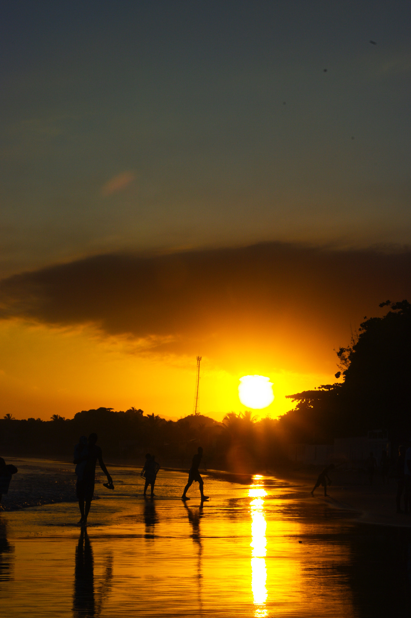 Pentax K20D sample photo. Ponta da fruta - es photography