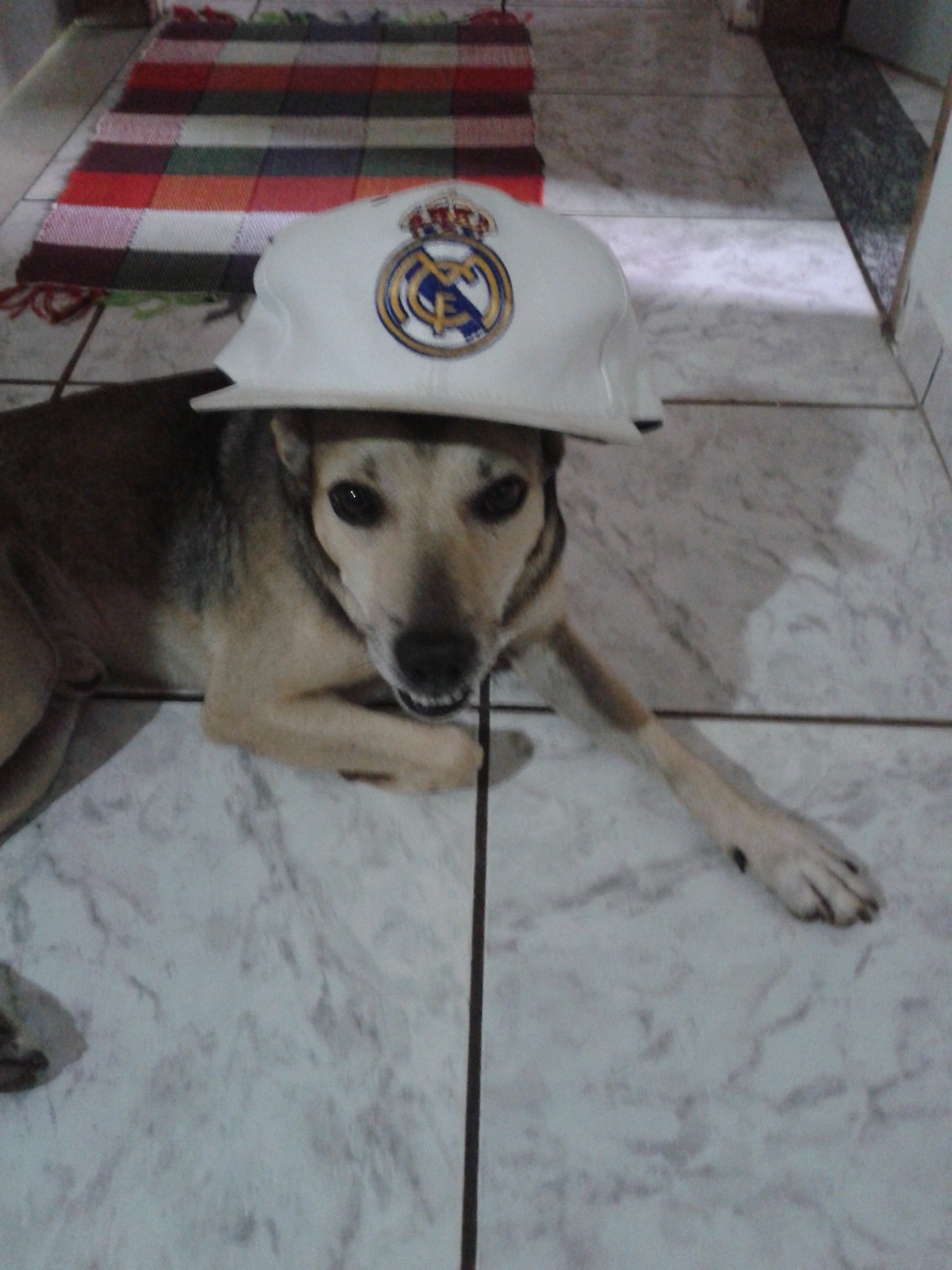 Samsung Galaxy Win sample photo. 20120202_201730.jpg photography