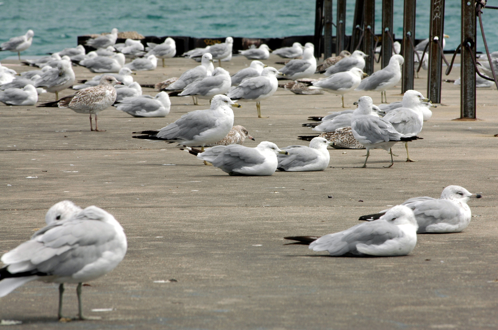 Nikon D70s sample photo. Edited photography