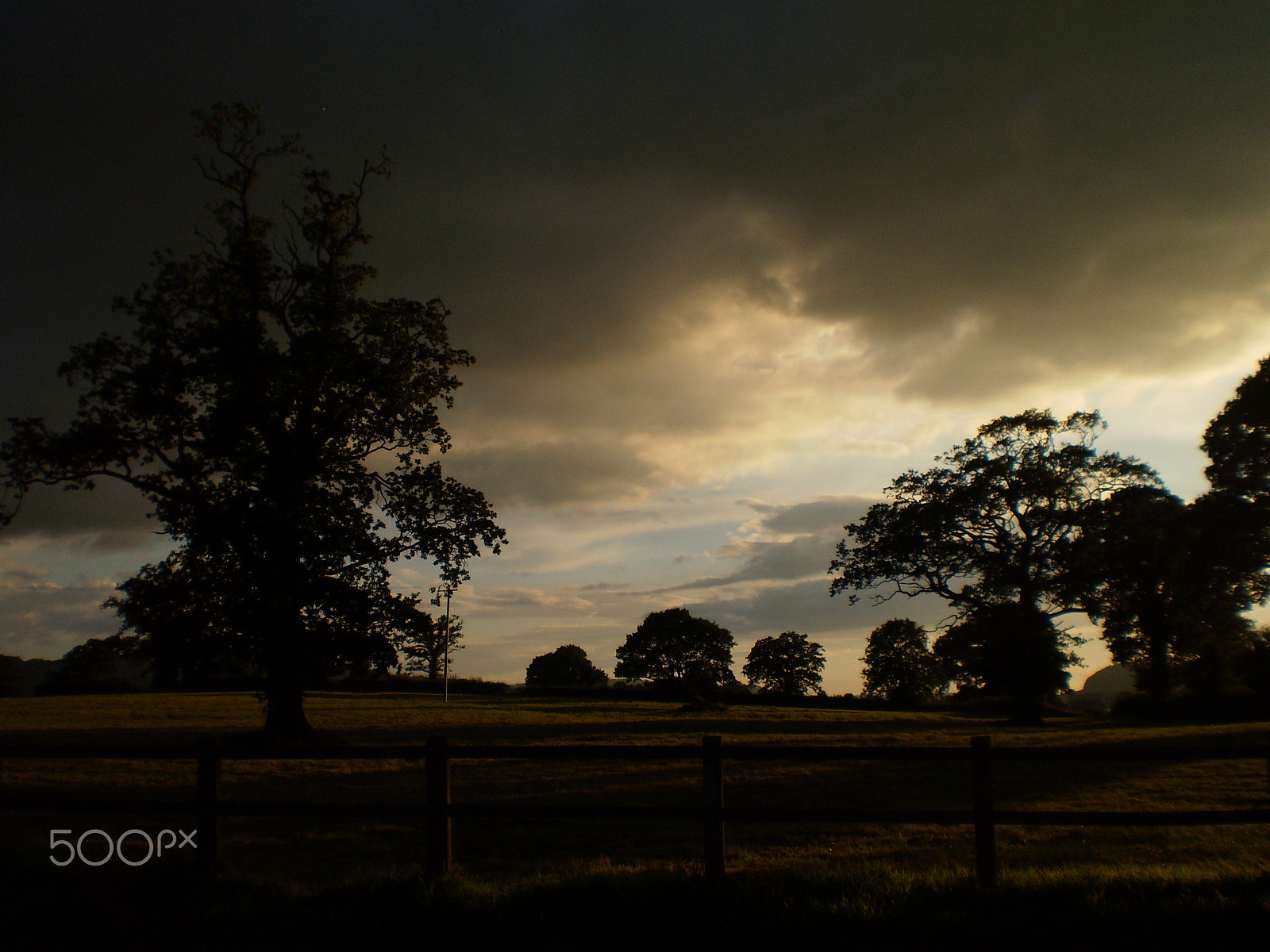 Olympus FE20,X15,C25 sample photo. Trees photography
