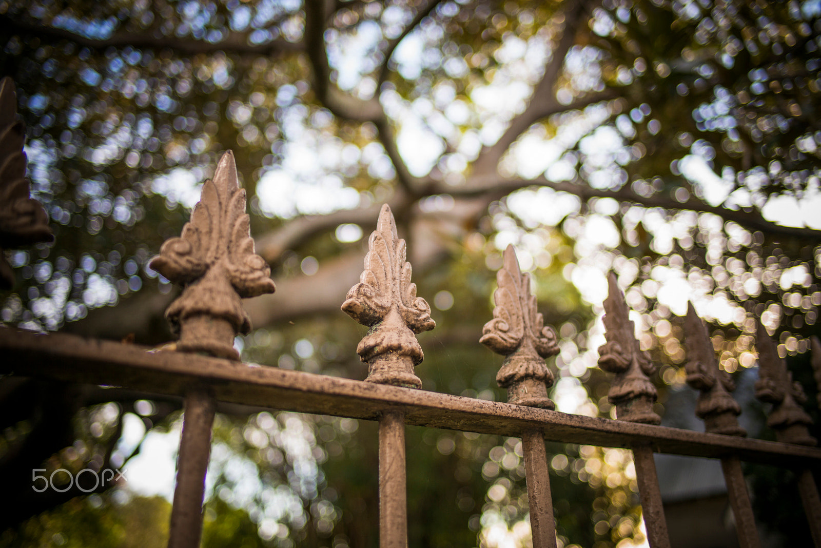 Summilux-M 1:1.4/28 ASPH. sample photo. L1005775.jpg photography