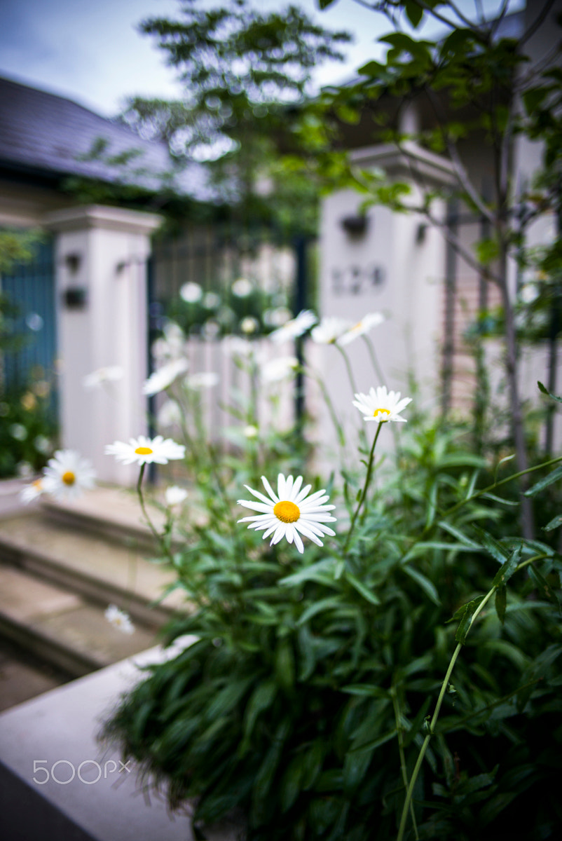 Summilux-M 1:1.4/28 ASPH. sample photo. L1003740.jpg photography