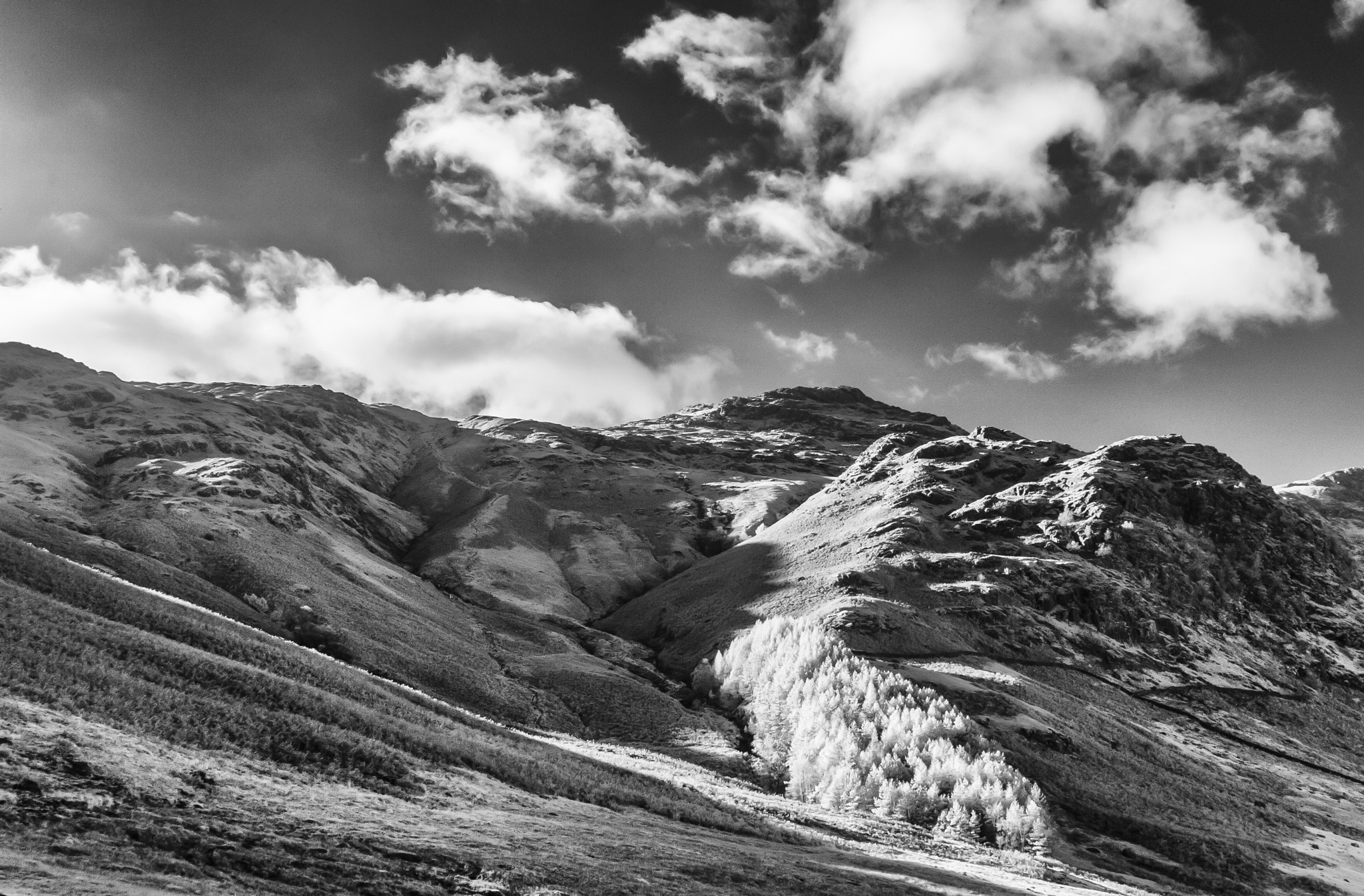 Canon EOS-1D Mark II sample photo. View over the langdales photography