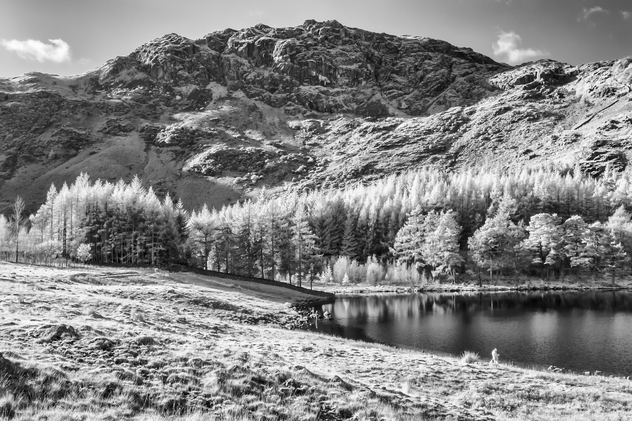Canon EOS-1D Mark II sample photo. Blea tarn photography