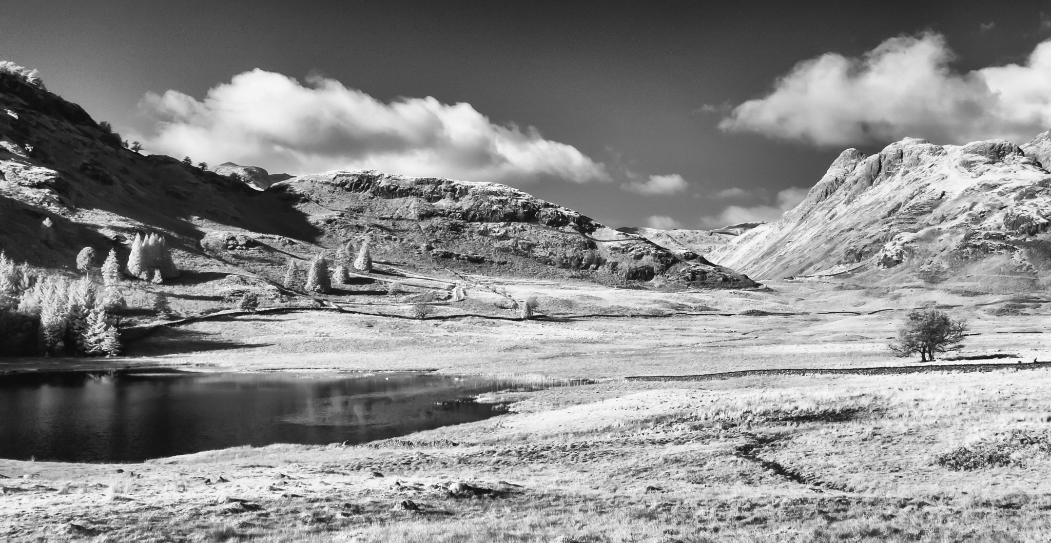 Canon EOS-1D Mark II sample photo. Blea tarn photography