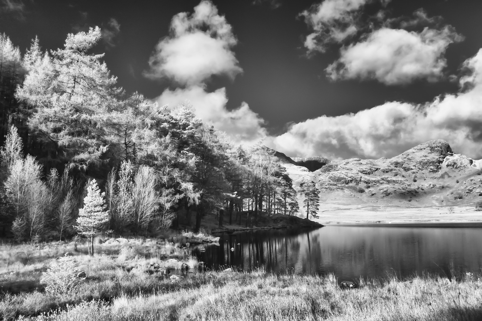 Canon EOS-1D Mark II sample photo. Blea tarn photography