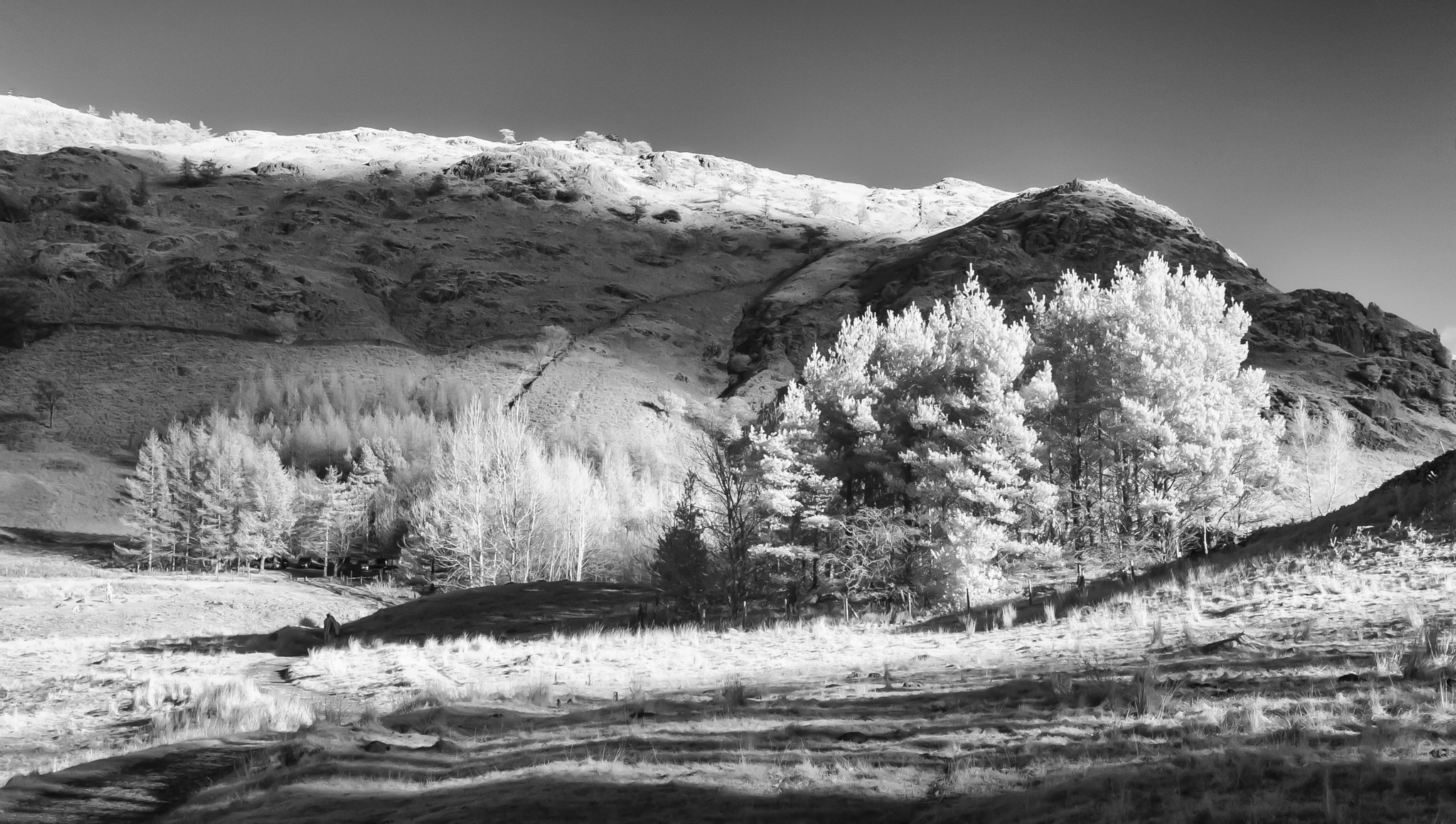 Canon EOS-1D Mark II sample photo. Blea tarn photography