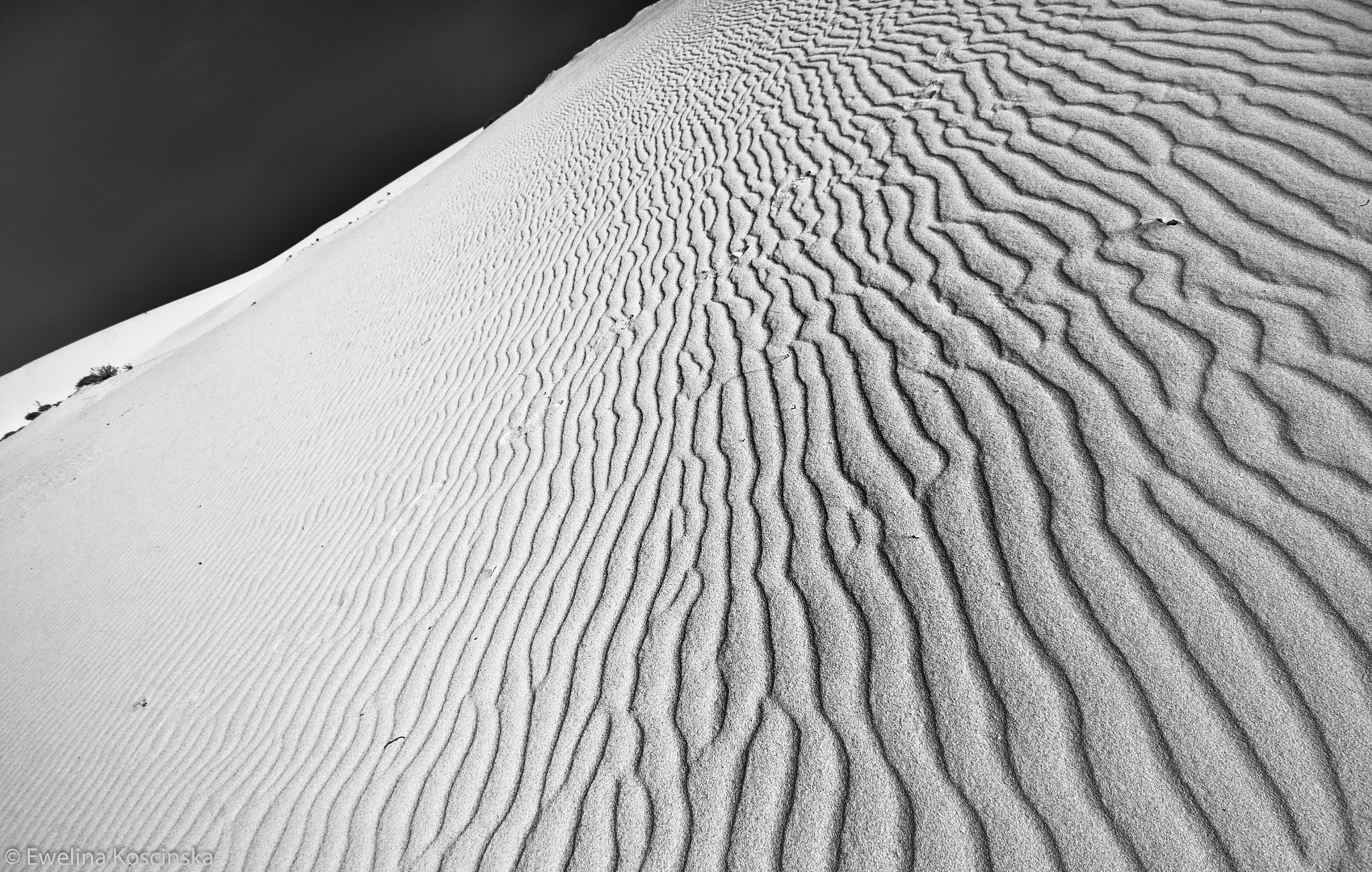 Sony Alpha DSLR-A580 sample photo. Wind photography