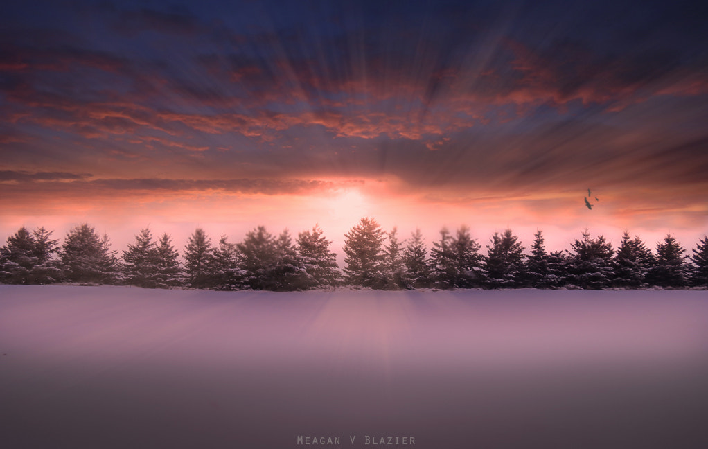 Winter's Horizon II by Meagan V. Blazier on 500px.com