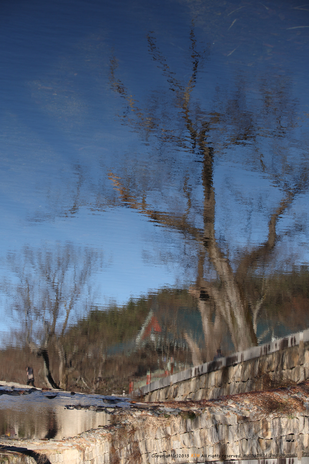 Canon EOS 5D + Canon EF 80-200mm f/2.8L sample photo