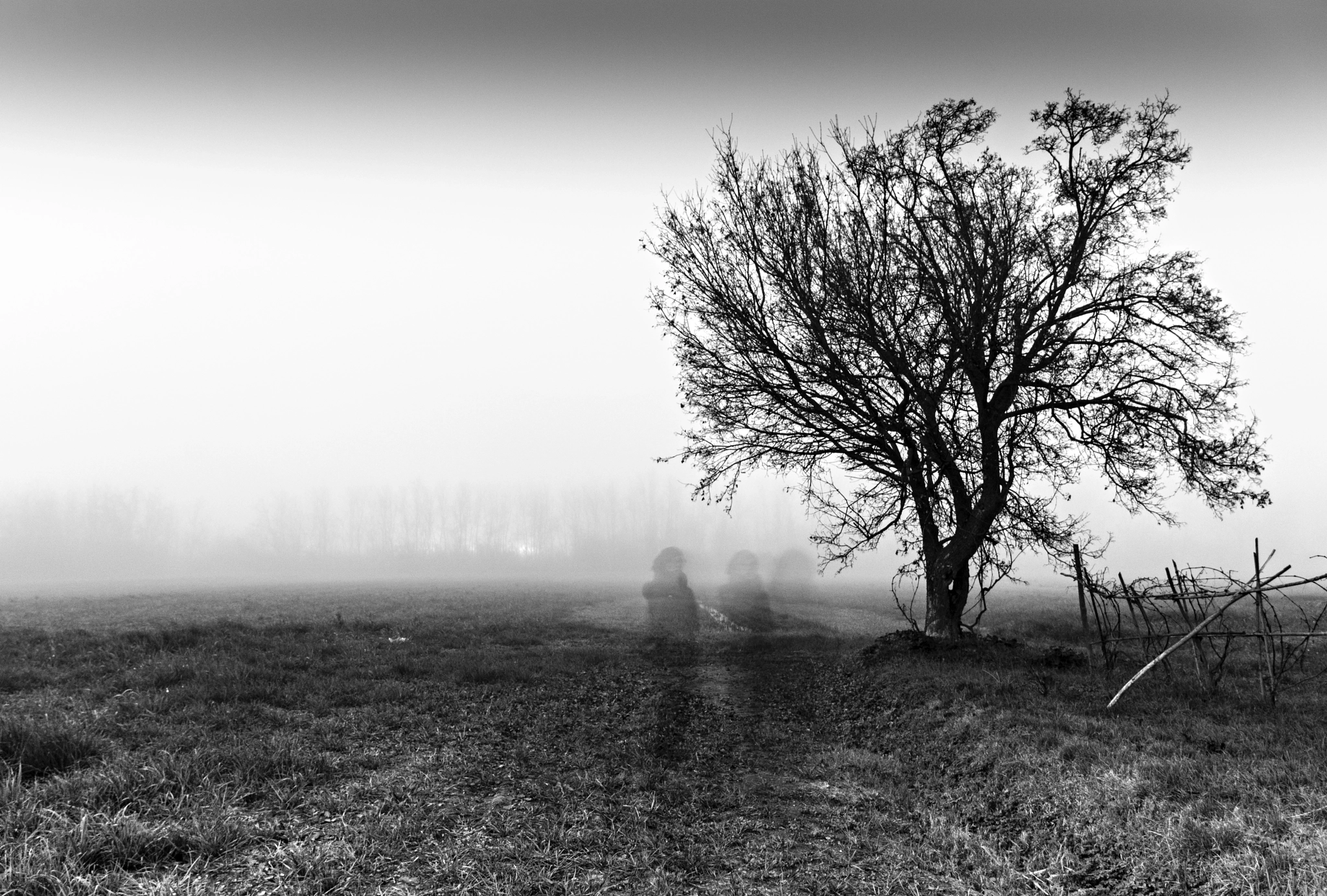 Sigma 18-200mm F3.5-6.3 II DC OS HSM sample photo. Foggy day photography