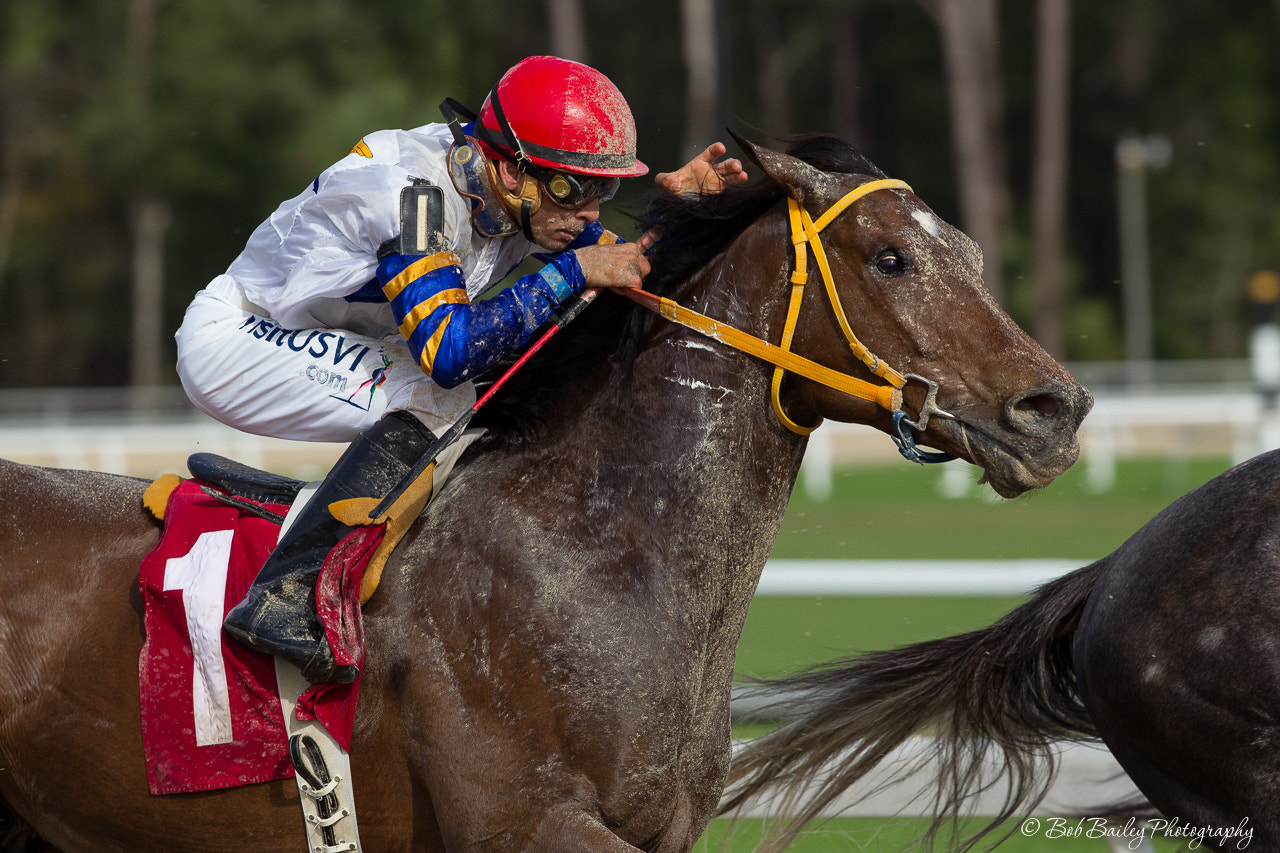 Canon EF 300mm F2.8L IS II USM sample photo. Into the home stretch photography