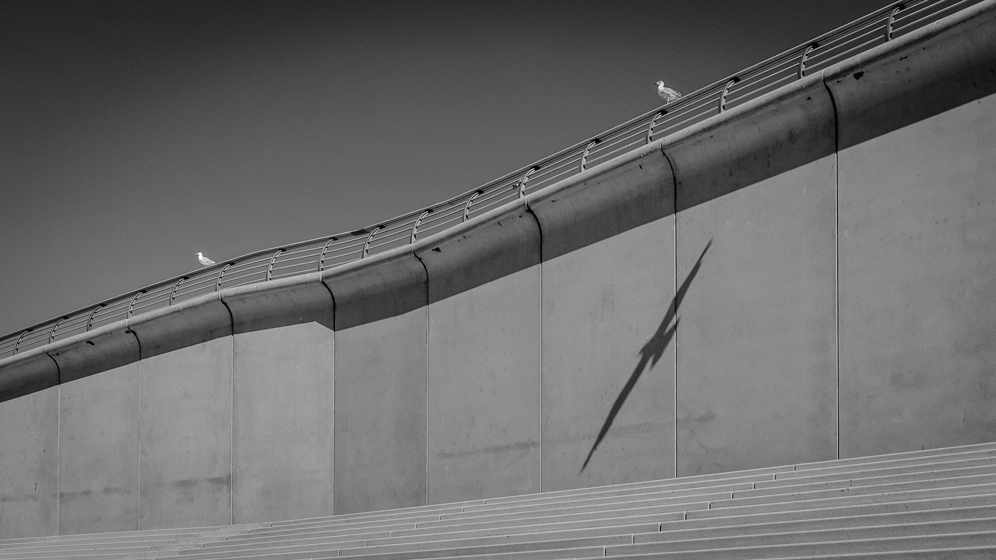 Sigma 17-70mm F2.8-4 DC Macro OS HSM | C sample photo. Seagullsatblackpool photography