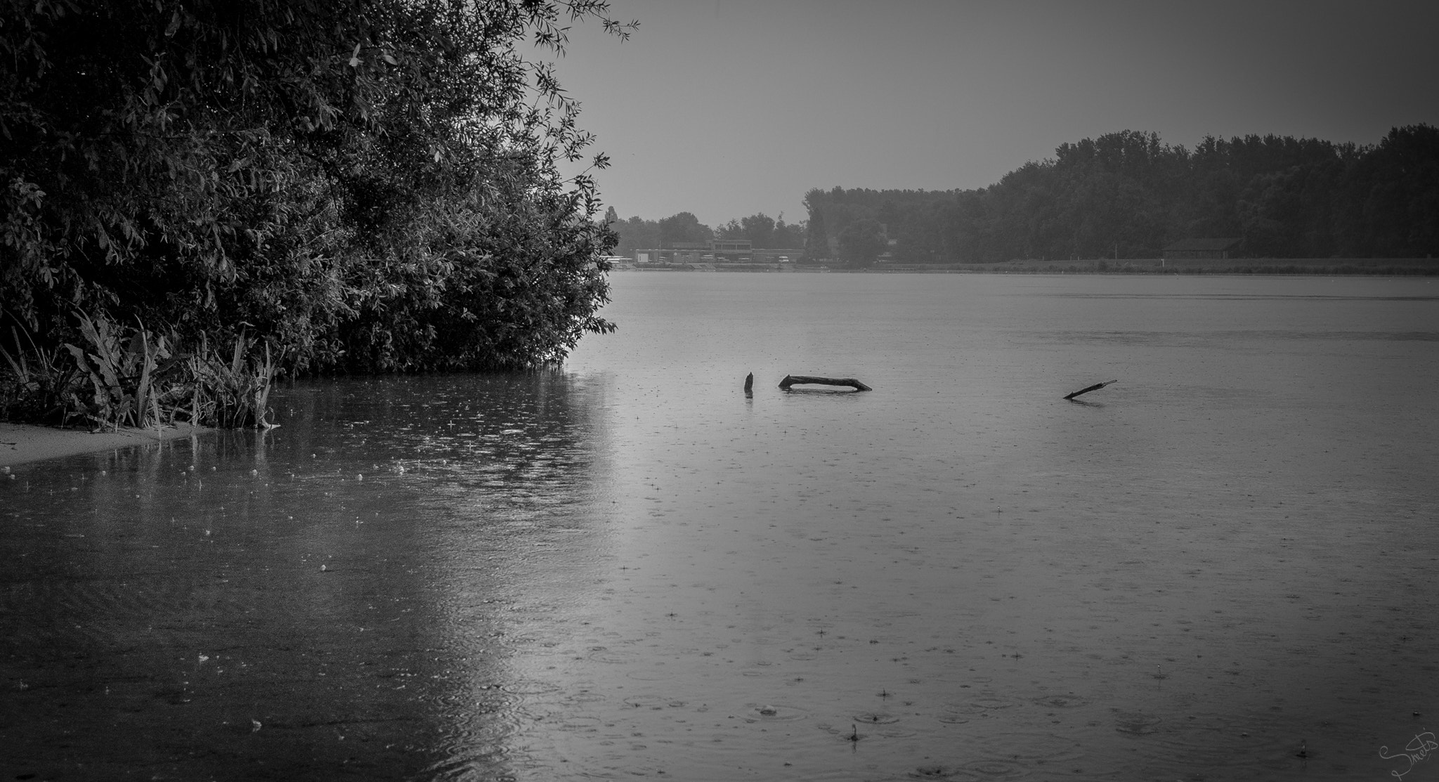 Sigma 17-70mm F2.8-4 DC Macro OS HSM | C sample photo. Rainy day photography