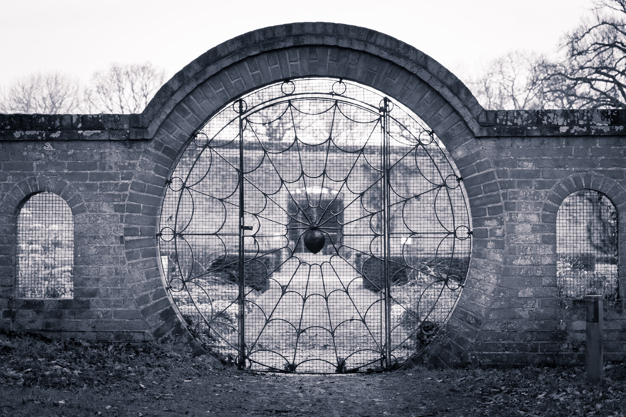Spiderweb gate