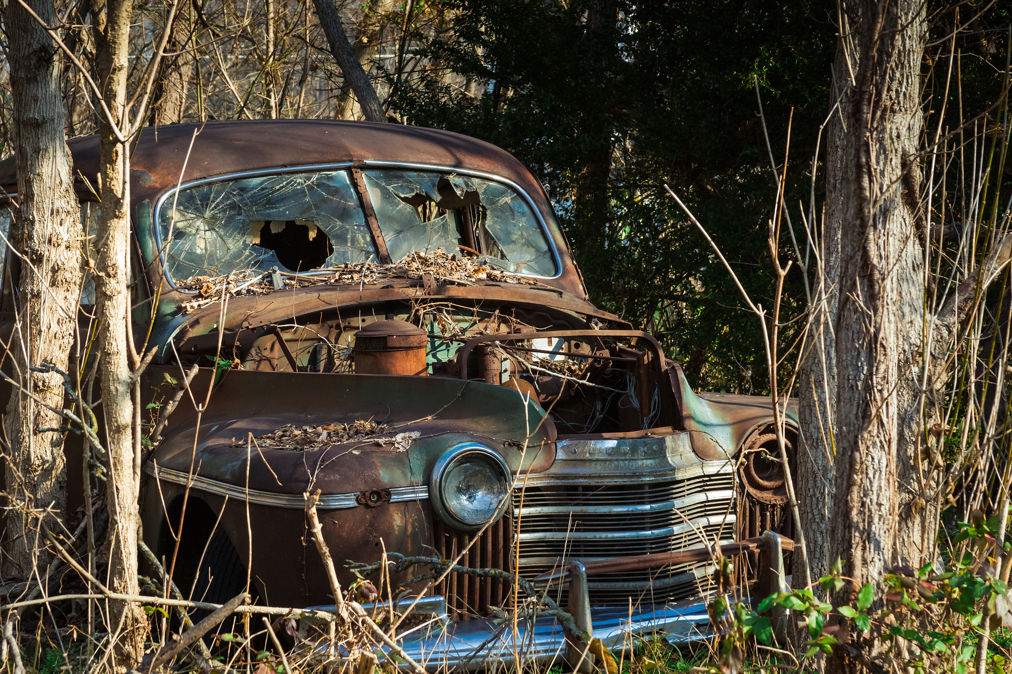 Canon EF 28-135mm F3.5-5.6 IS USM sample photo. Abandoned friend photography