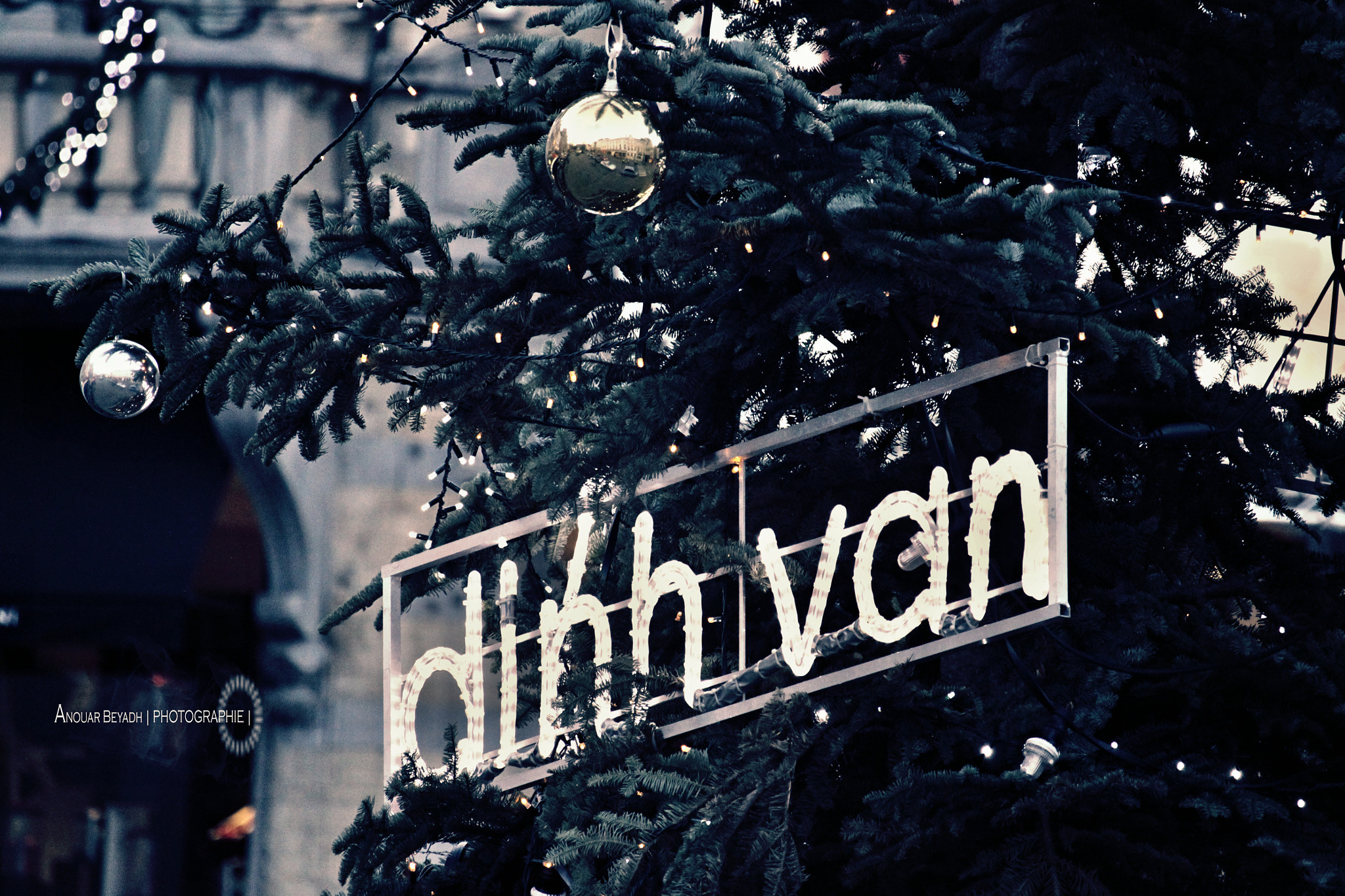 Canon EF-S 55-250mm F4-5.6 IS STM sample photo