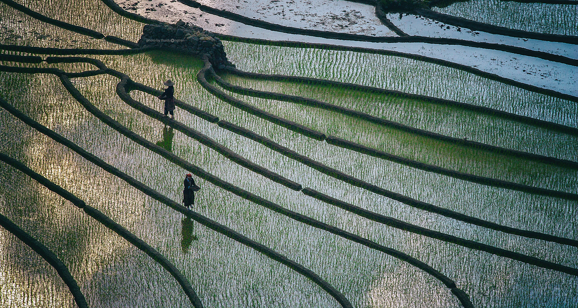 Canon EF 300mm F4L IS USM sample photo. Color pallete photography