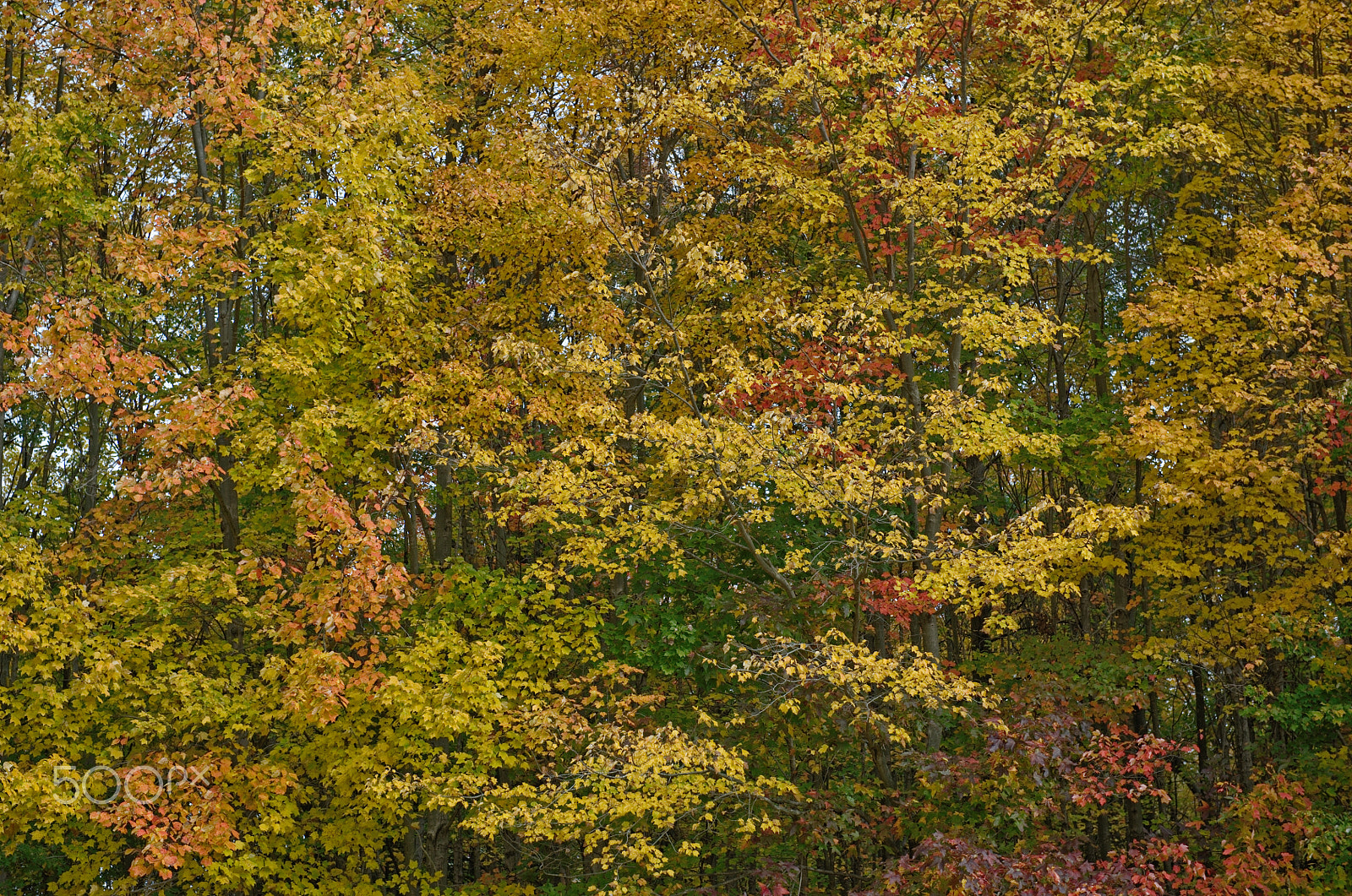 24-70mm F2.8 sample photo. _dsc5671.jpg photography