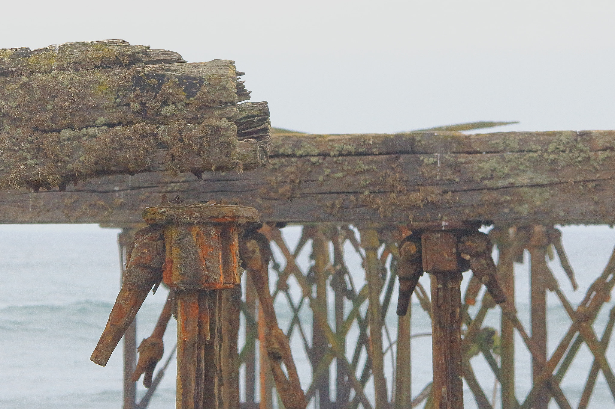 Sigma 150-500mm F5-6.3 DG OS HSM sample photo. Herrumbe photography