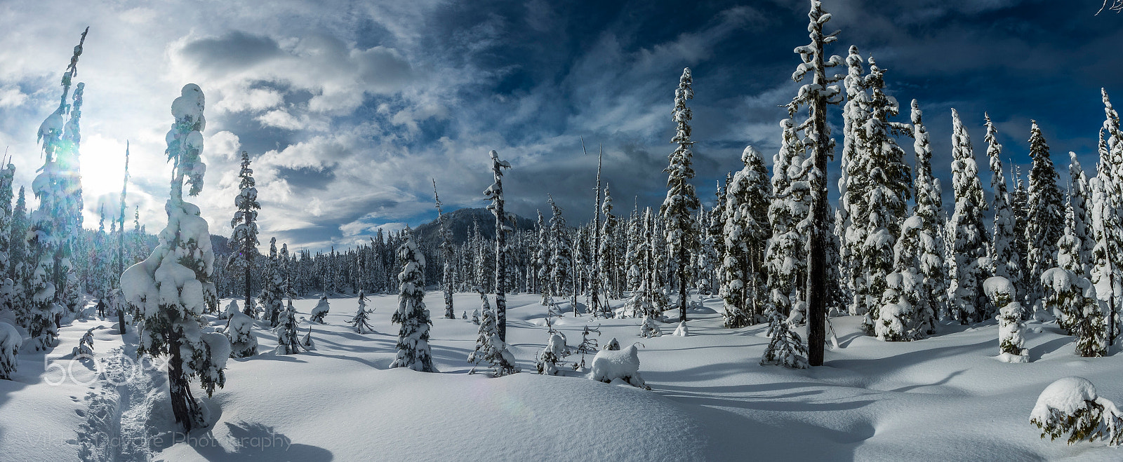 Olympus OM-D E-M5 II + OLYMPUS M.8mm F1.8 sample photo. Winter wonderland photography